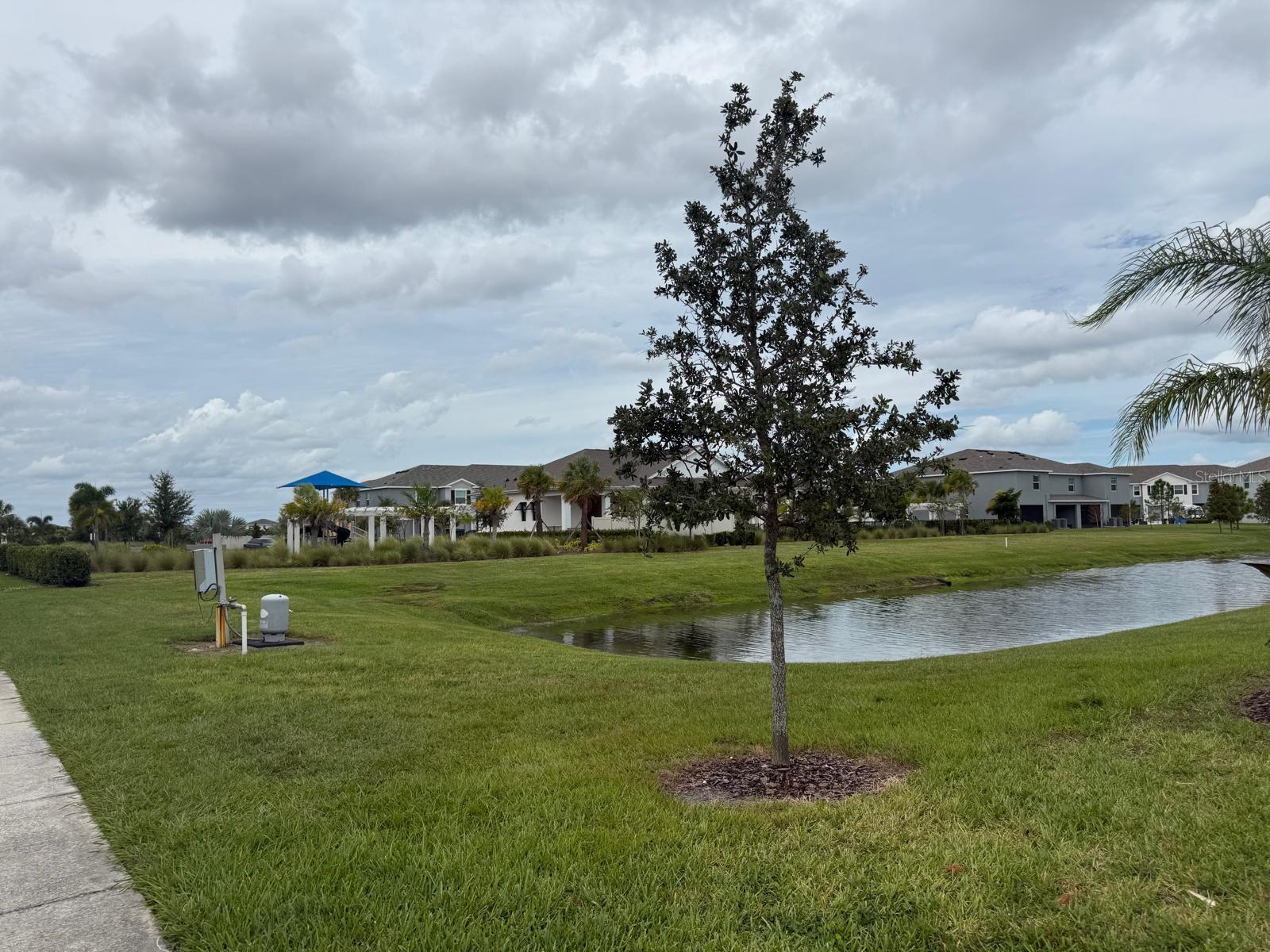 495 MANGROVE SHADE CIR — photo 33