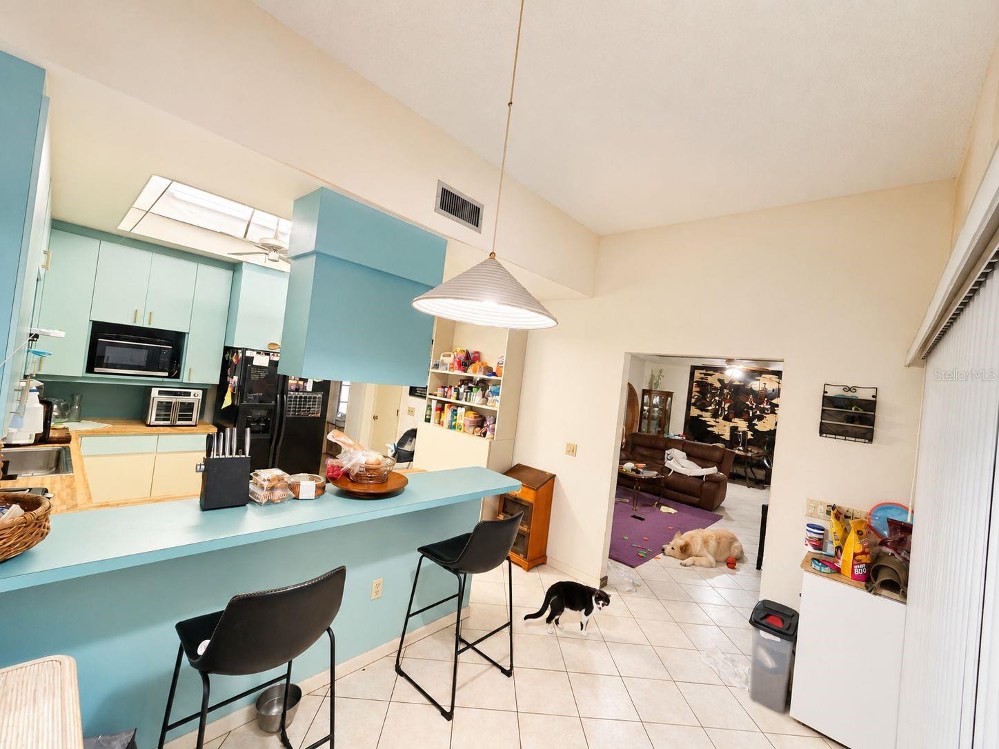 7350 PALOMINO TRL — photo 6