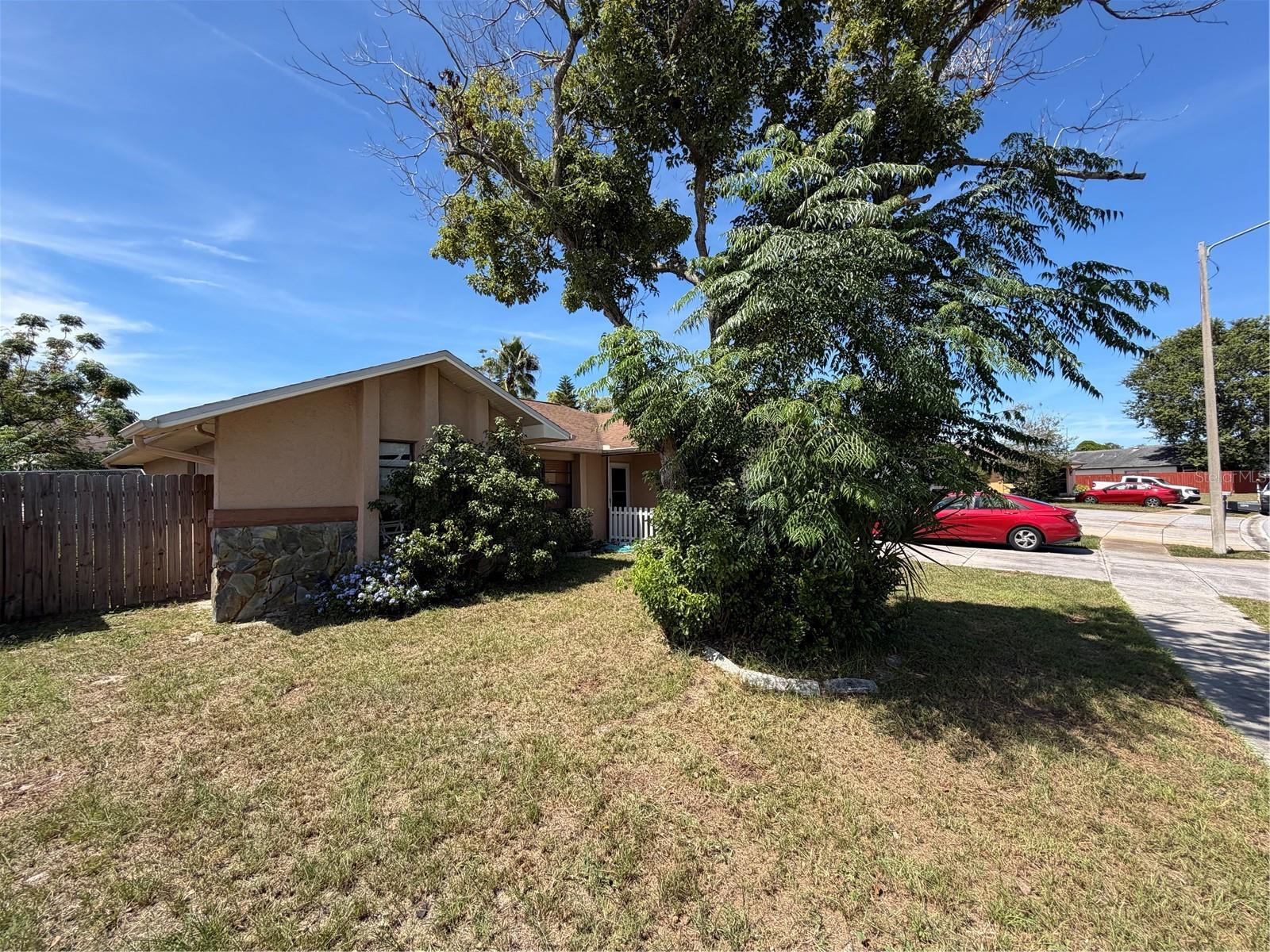 11433 BROWN BEAR LN — photo 3