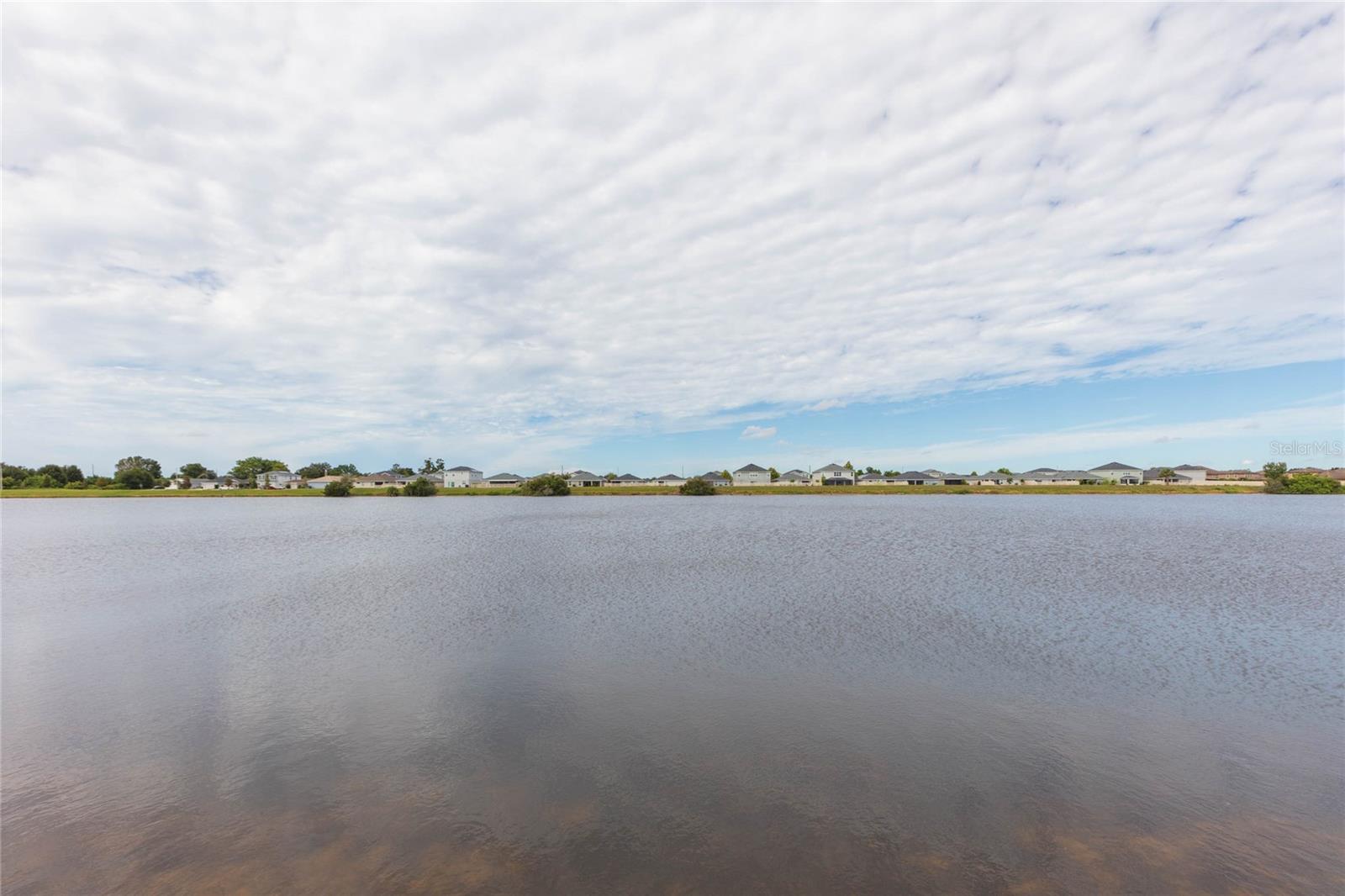 11933 DOWNY BIRCH DR — photo 6