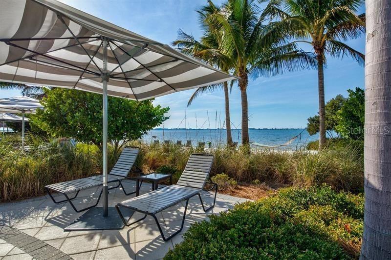 391 ARUBA CIR #203 — photo 74
