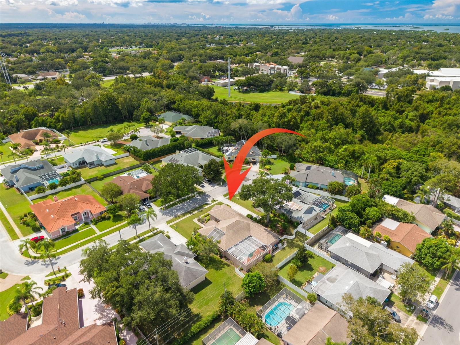 1555 SUNRAY DR — photo 42
