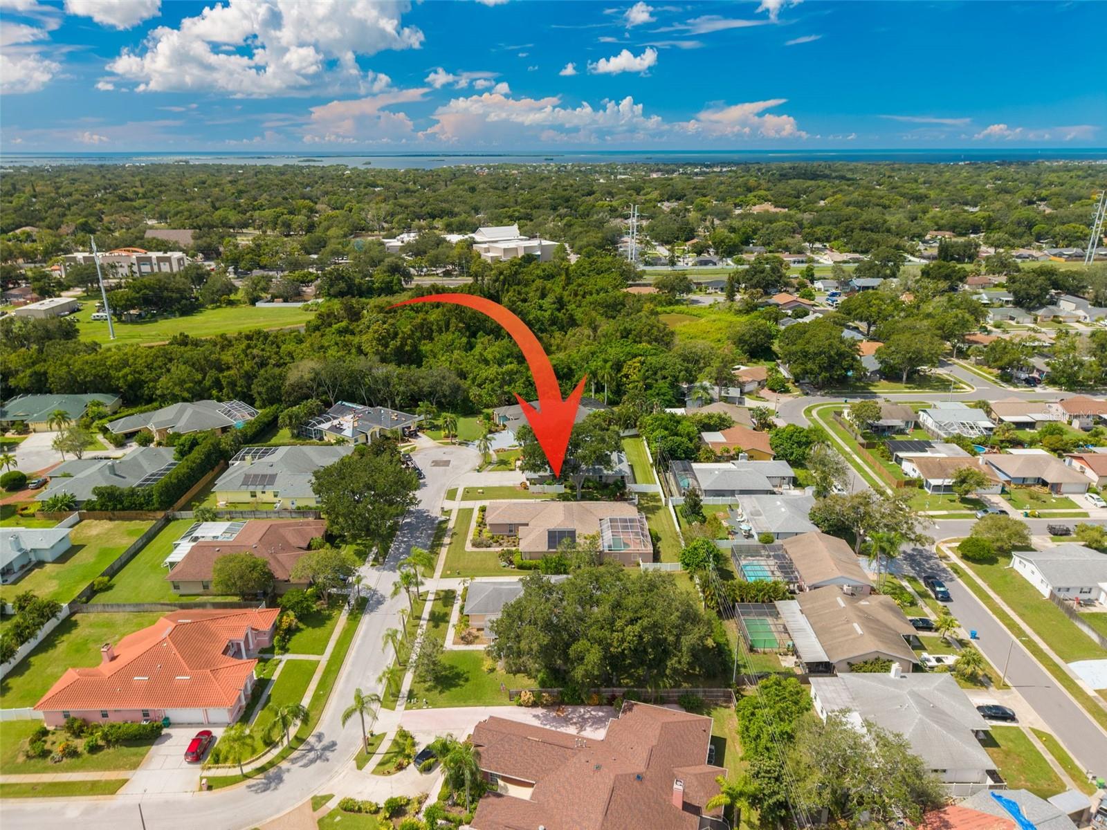 1555 SUNRAY DR — photo 41