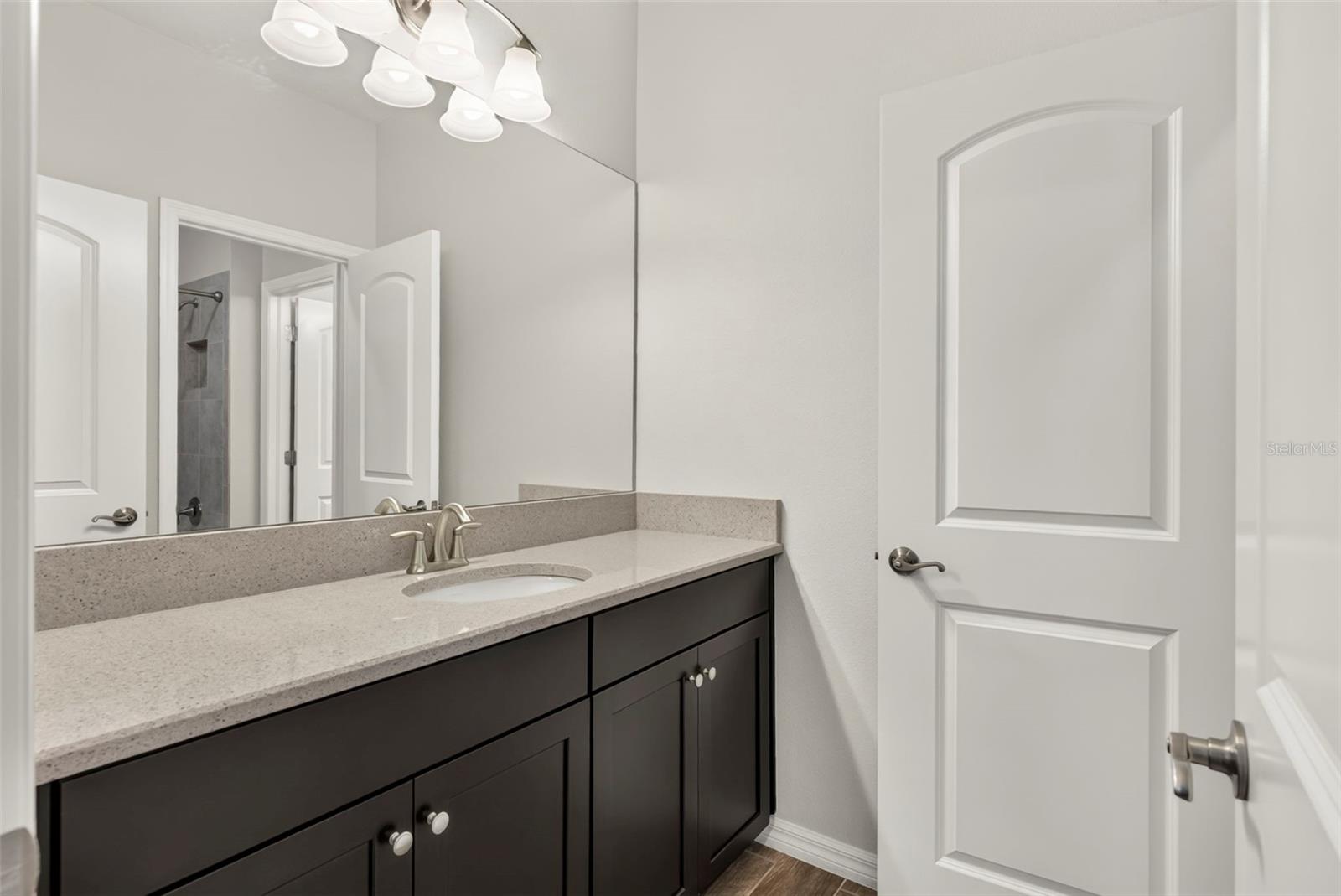 12299 LAKE BLANCHE DR — photo 28