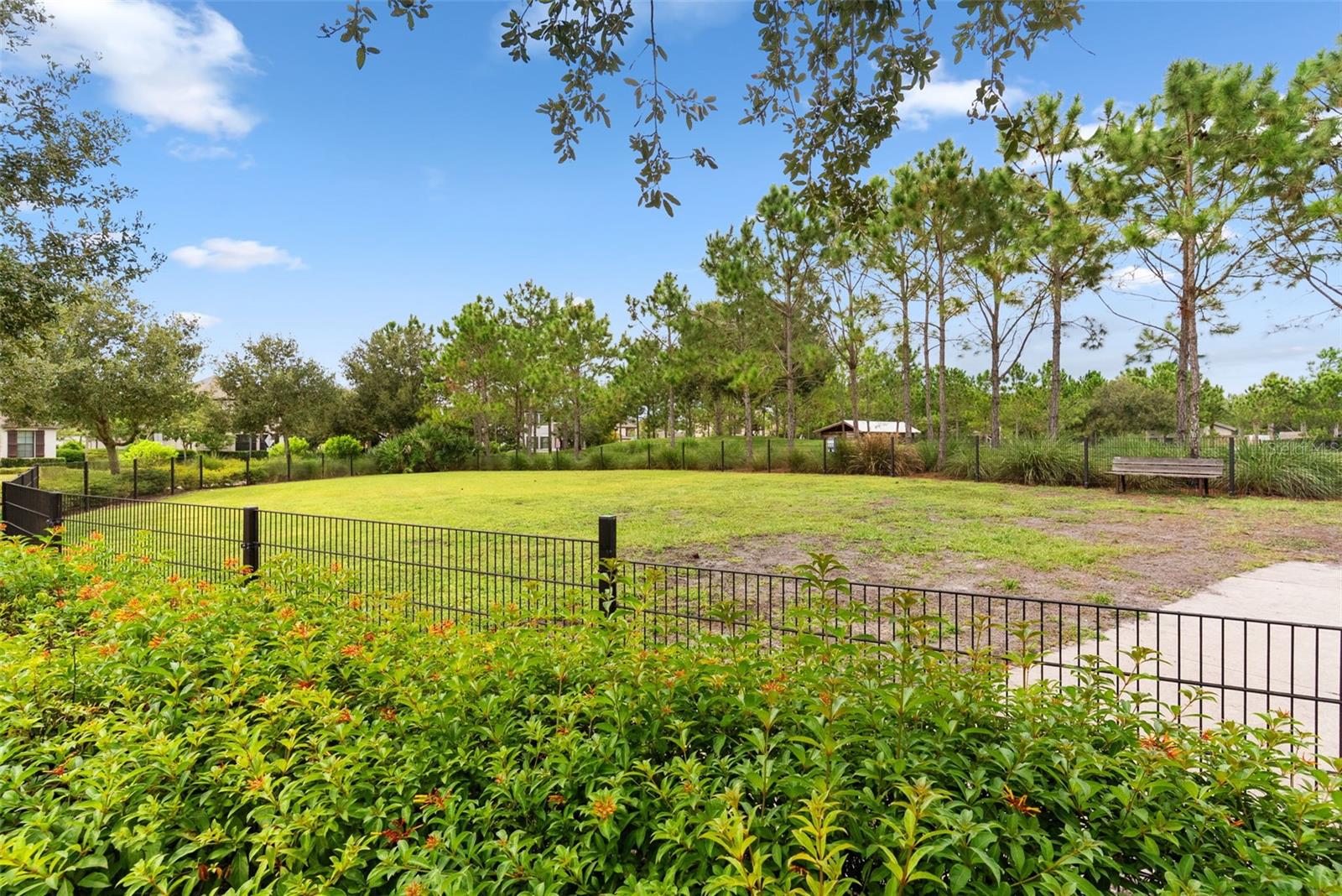 12299 LAKE BLANCHE DR — photo 40