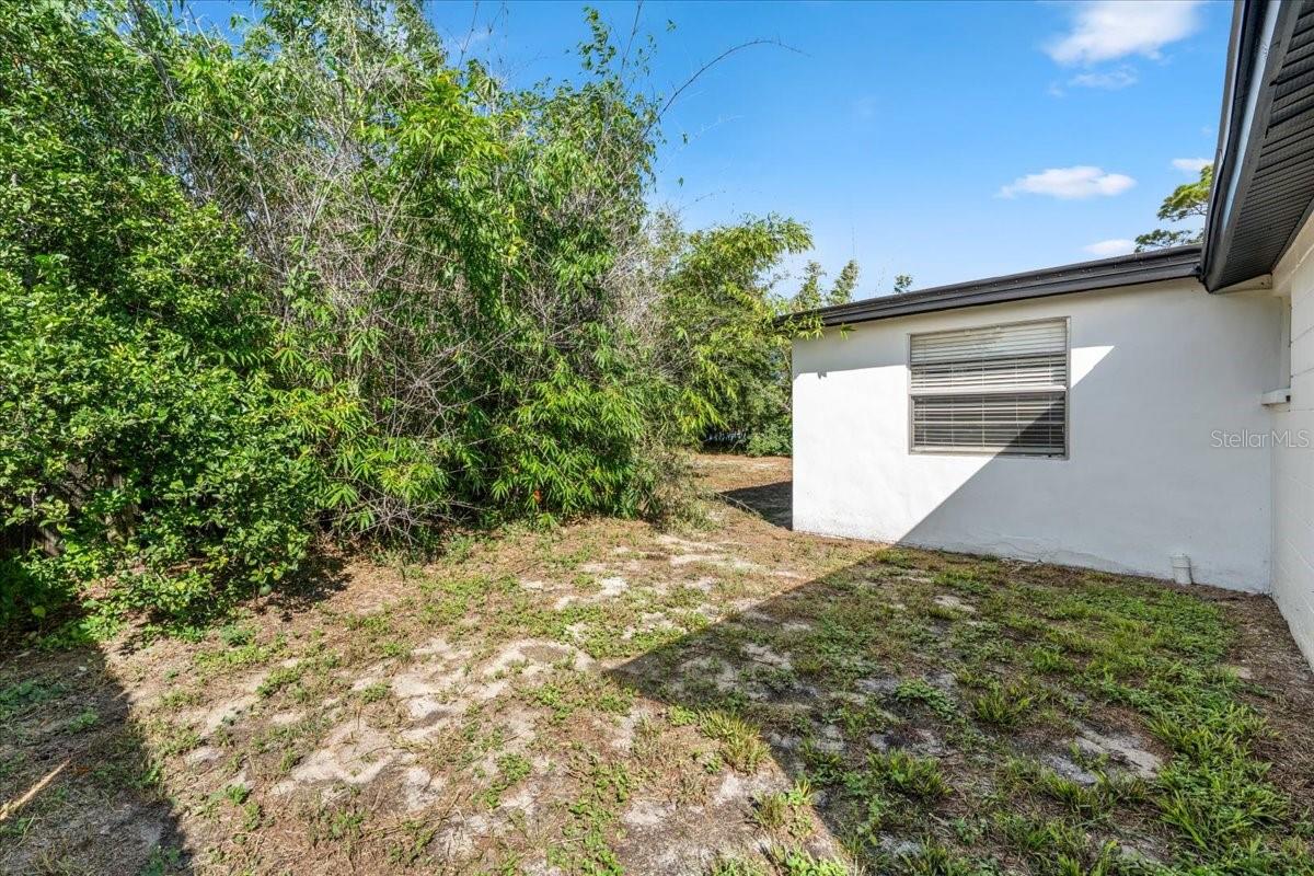 11819 BINGHAM DR — photo 39