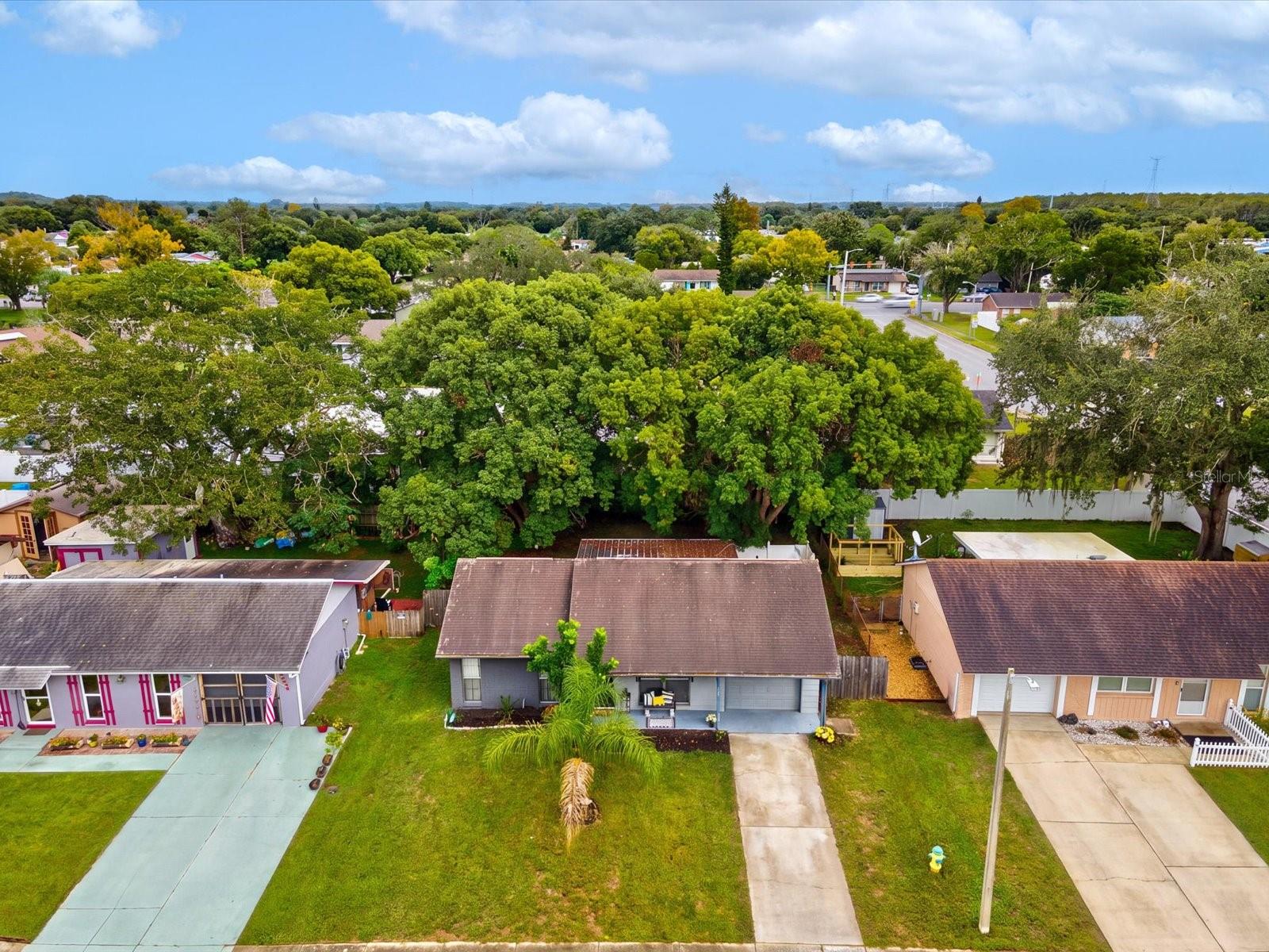 3220 LENWOOD DR — photo 39