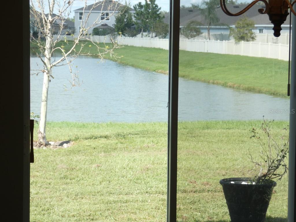 Home in ZEPHYRHILLS — photo 12