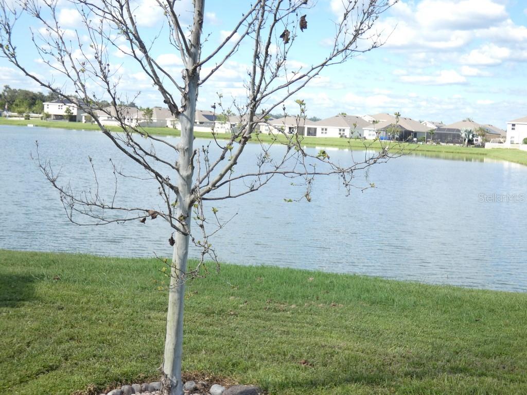 Home in ZEPHYRHILLS — photo 39