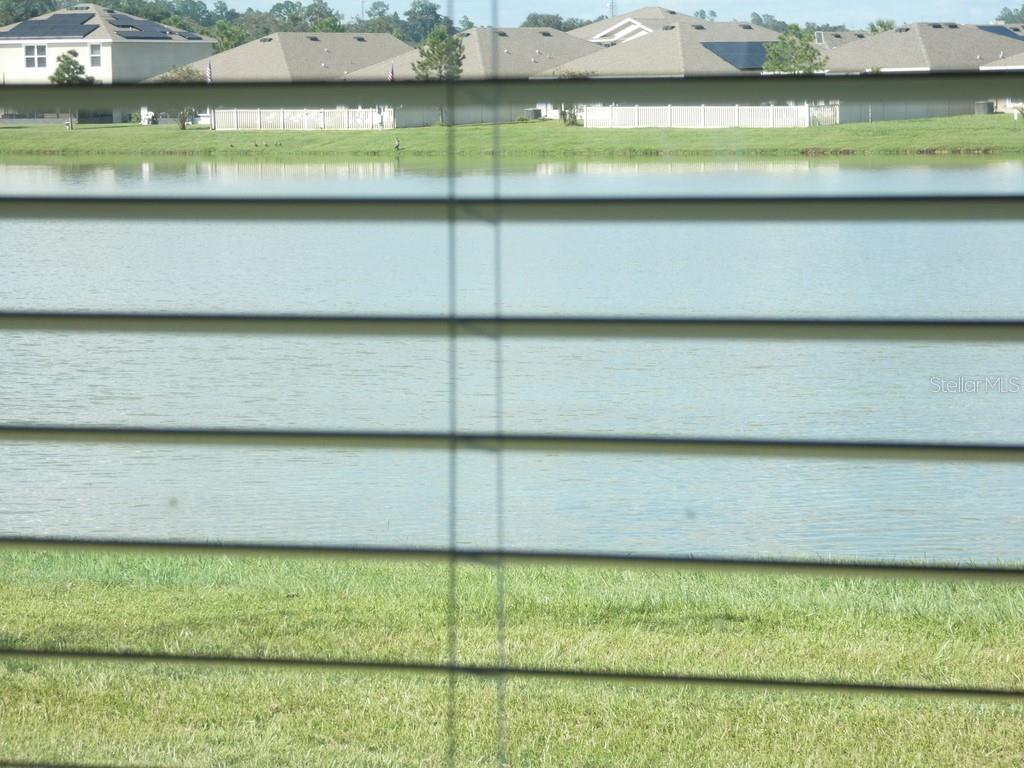 Home in ZEPHYRHILLS — photo 5