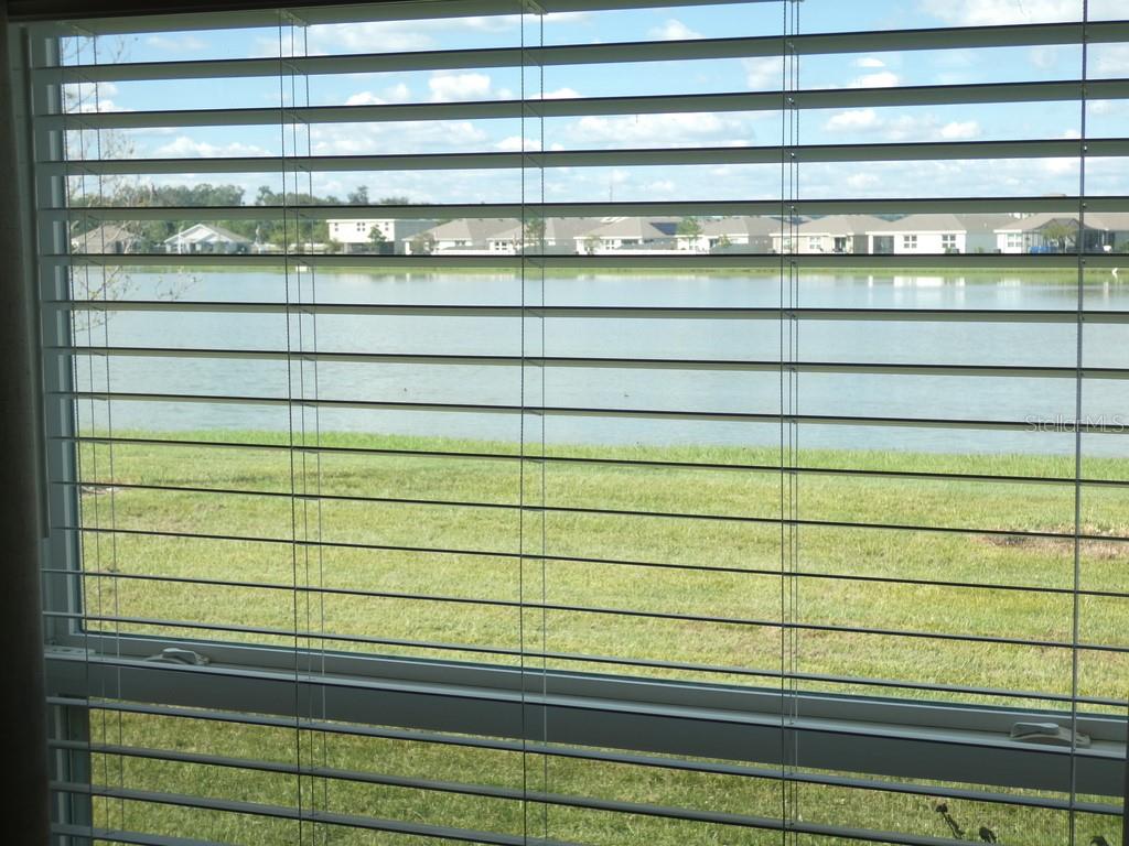 Home in ZEPHYRHILLS — photo 31