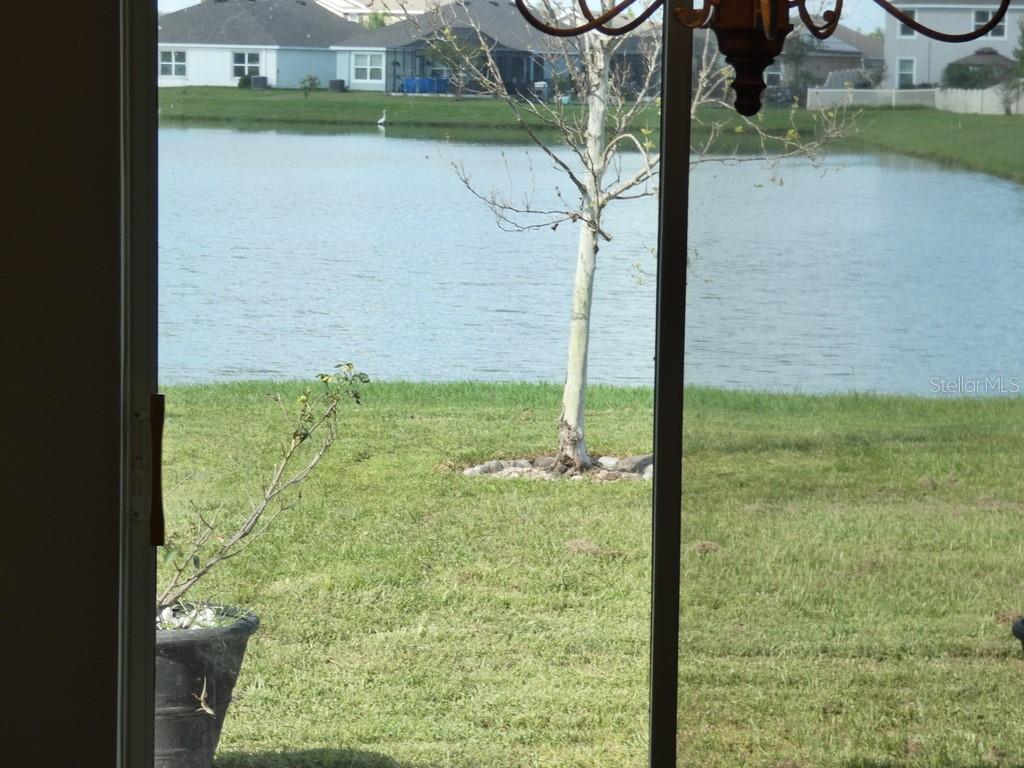 Home in ZEPHYRHILLS — photo 2