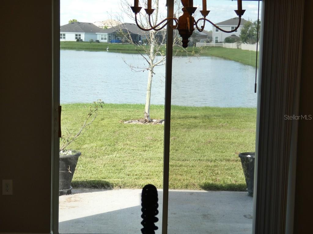 Home in ZEPHYRHILLS — photo 18