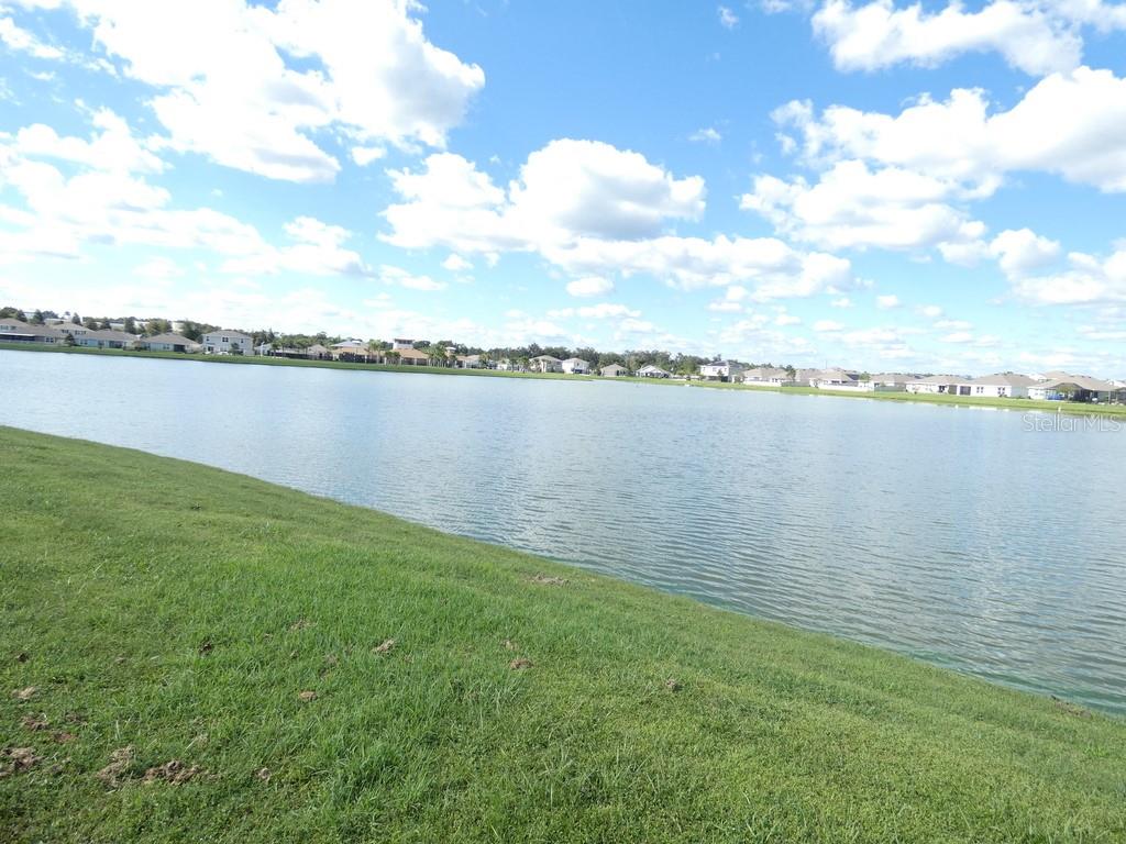 Home in ZEPHYRHILLS — photo 46