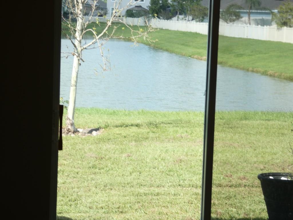 Home in ZEPHYRHILLS — photo 17