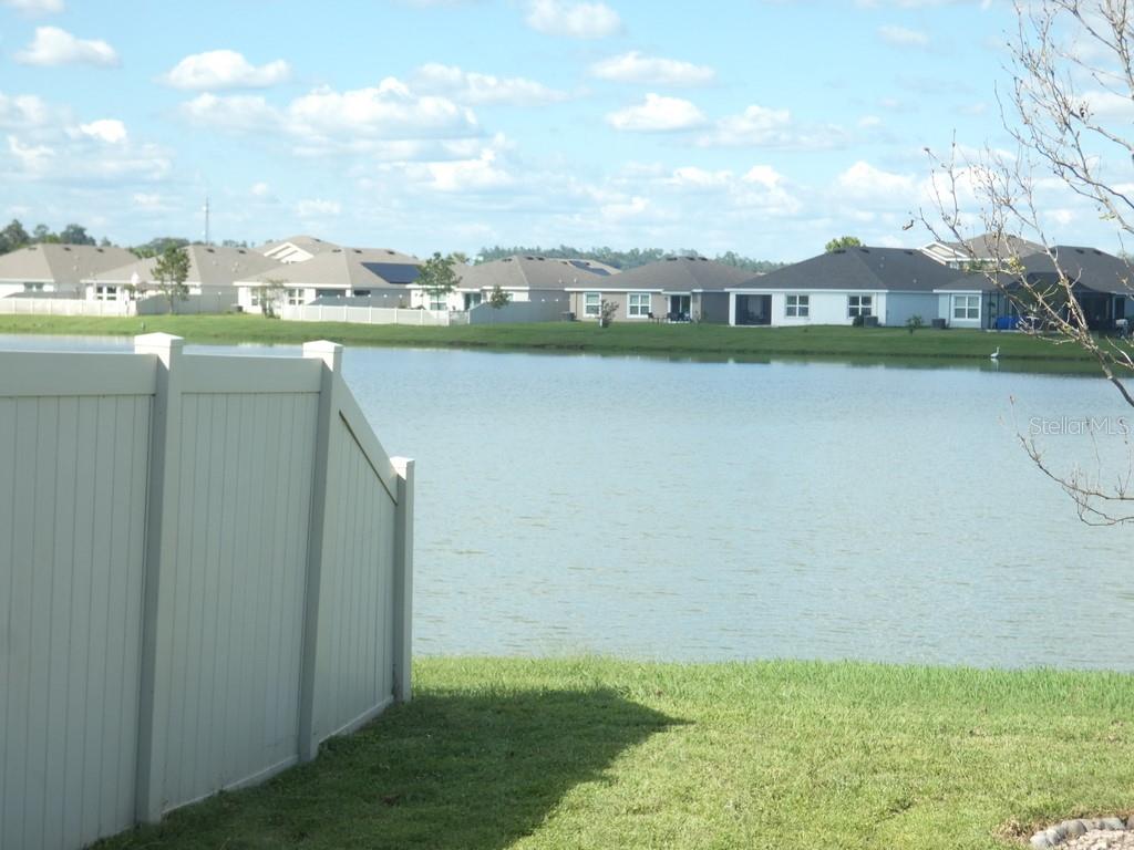 Home in ZEPHYRHILLS — photo 16