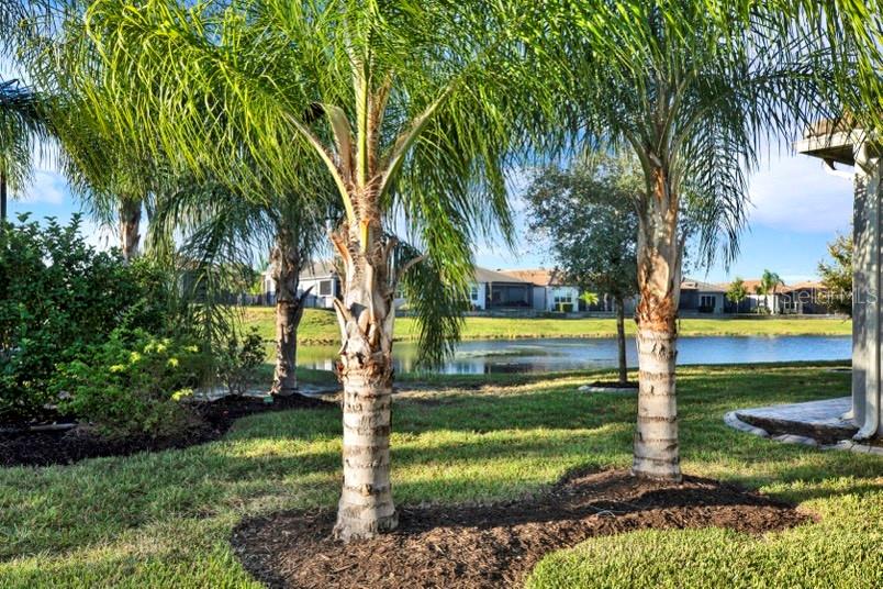 4923 PAMPLONA CT — photo 33