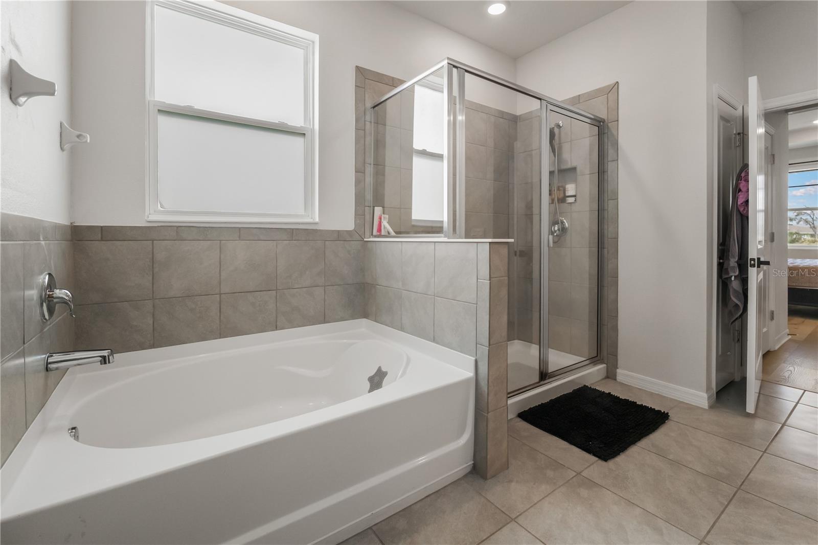 13166 BROOKSIDE MOSS DR — photo 20