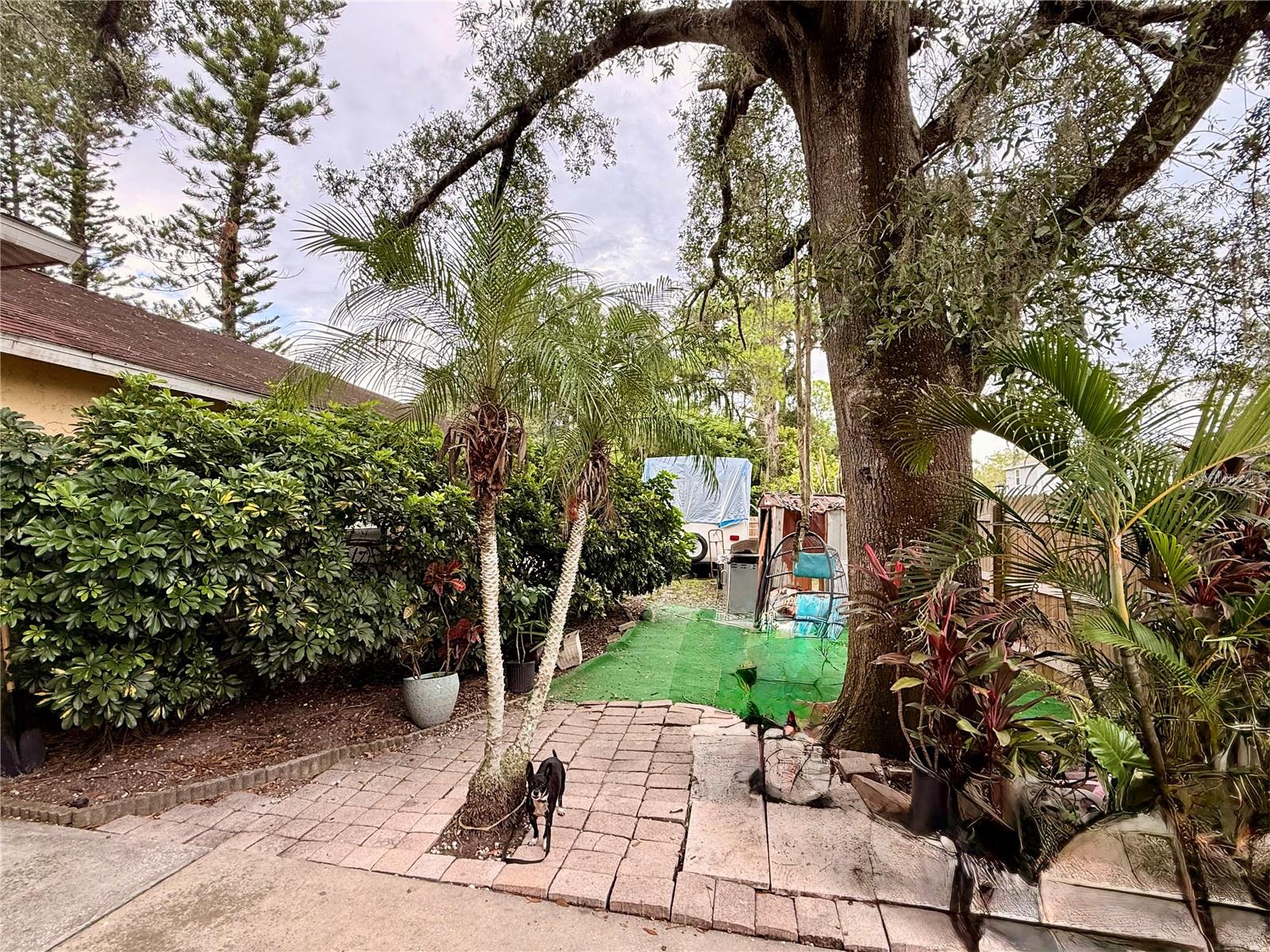 7302 AMHERST ST — photo 20
