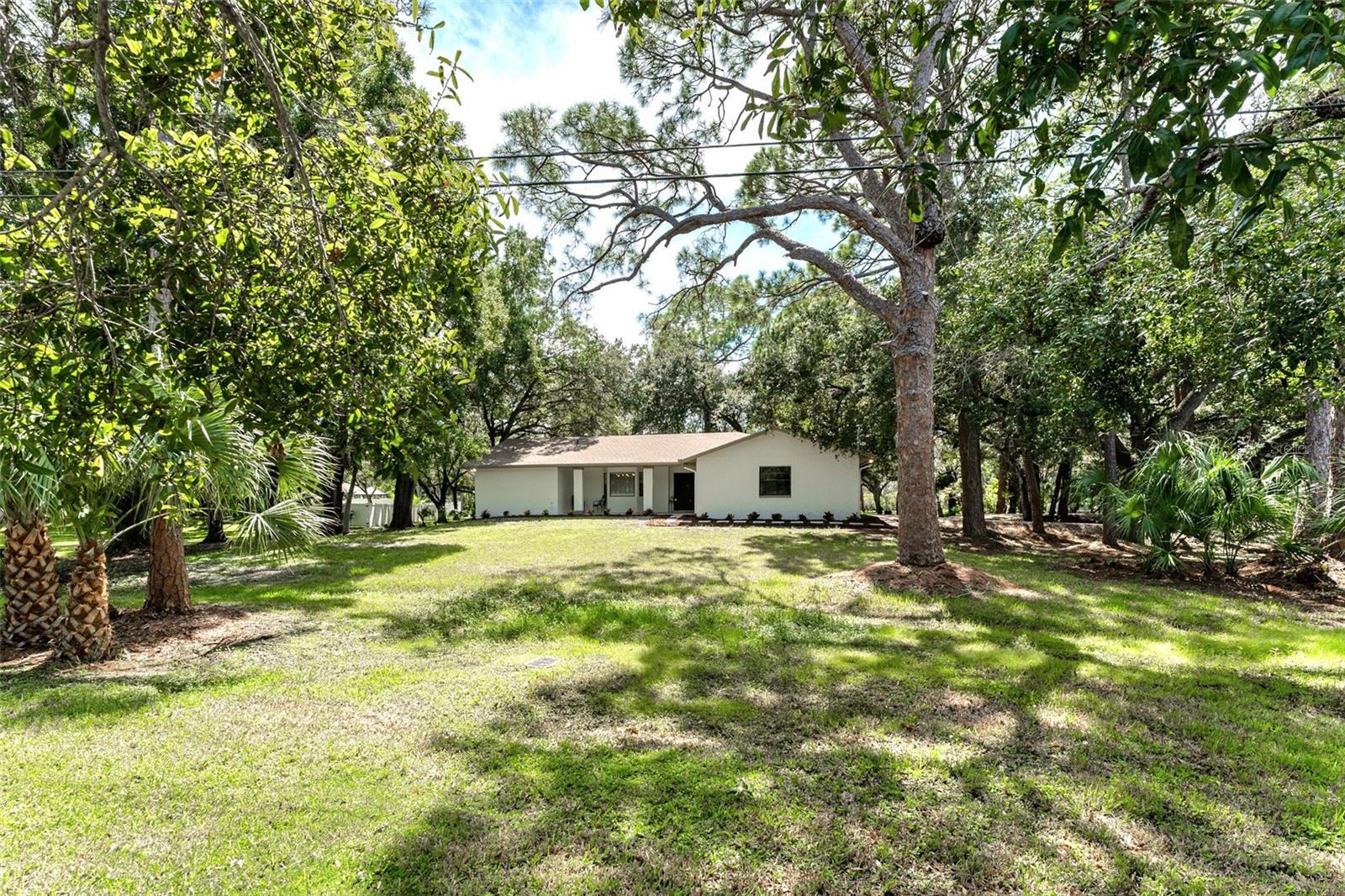 950 WAVERLY ST — photo 34
