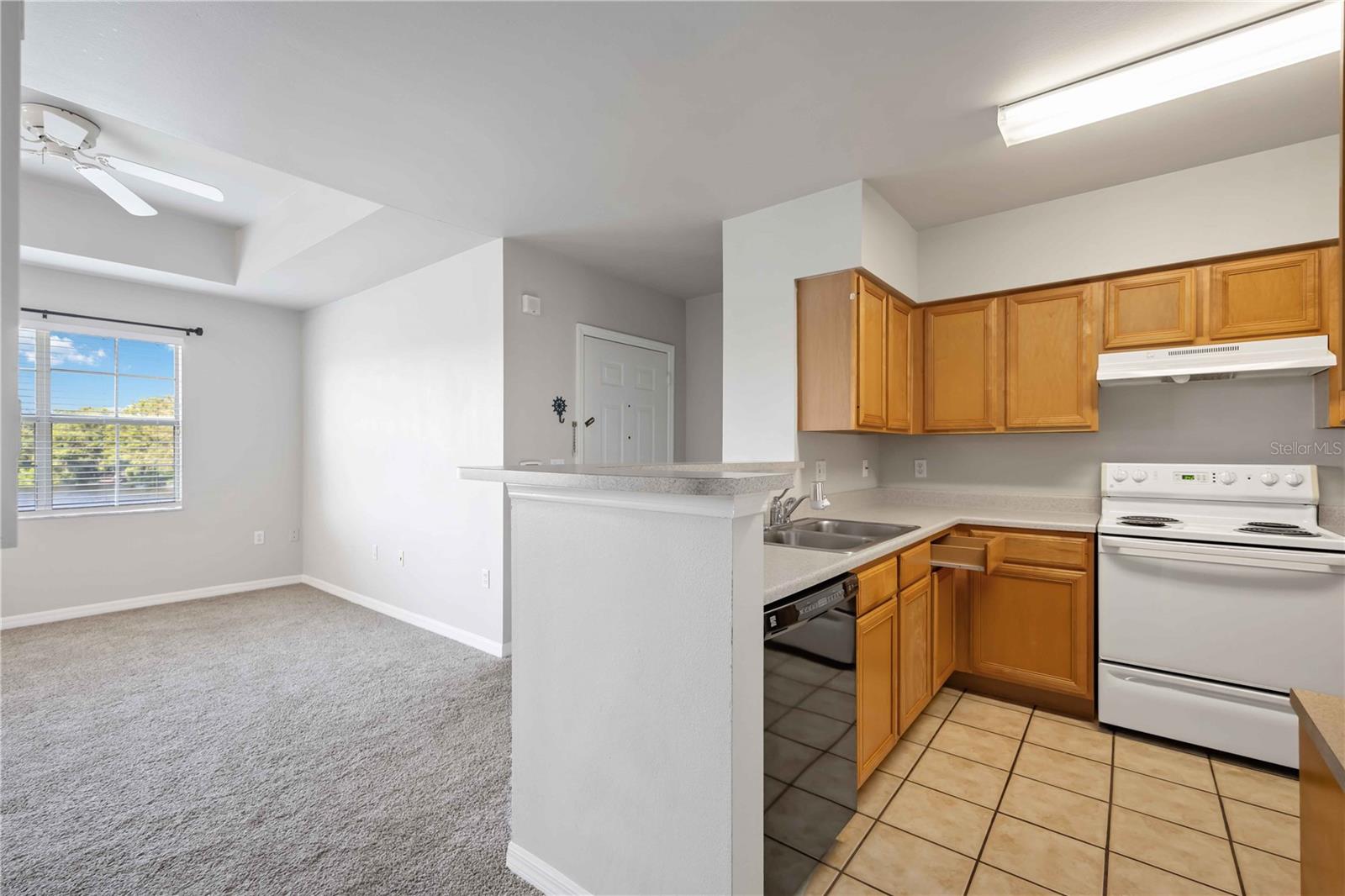 3005 CHIANTI CT #206 — photo 12