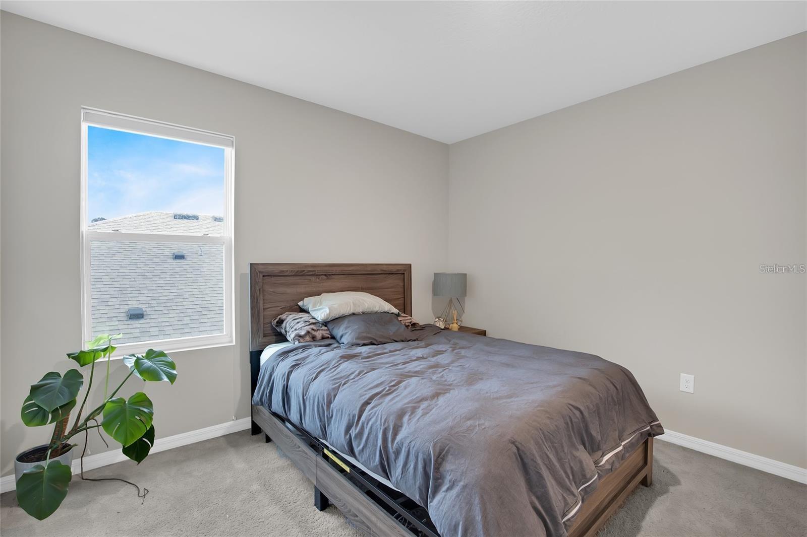 32265 CONCHSHELL SAIL ST — photo 32