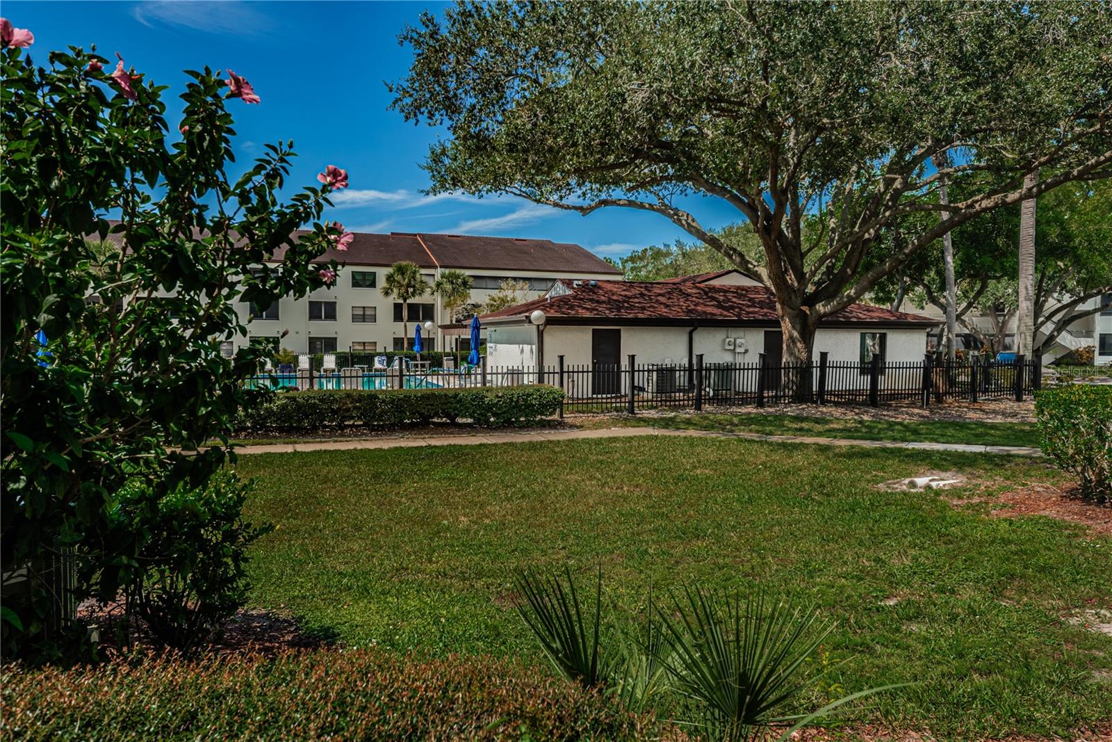2591 COUNTRYSIDE BLVD #5106 — photo 47
