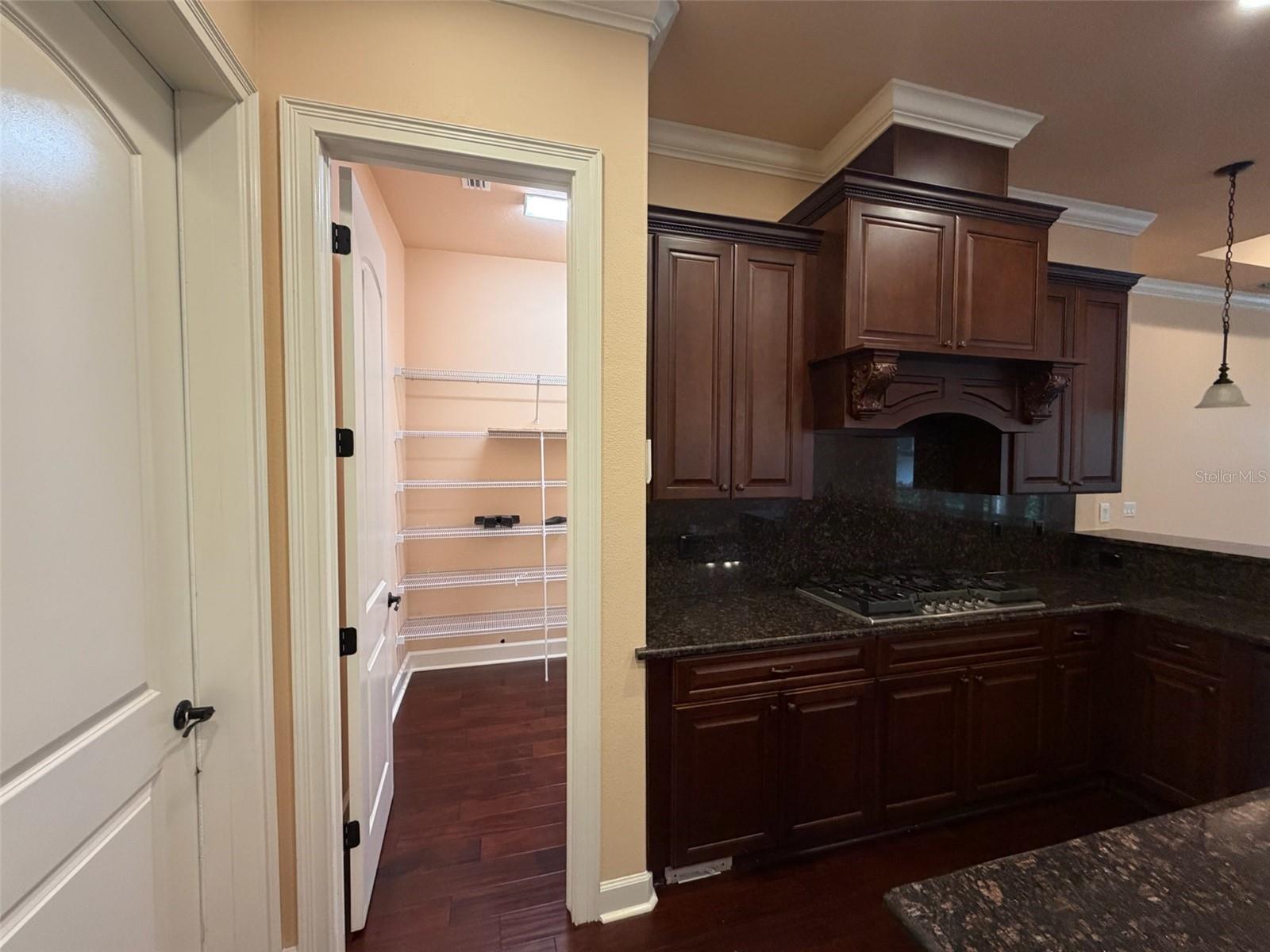 9650 MILANO DR — photo 58