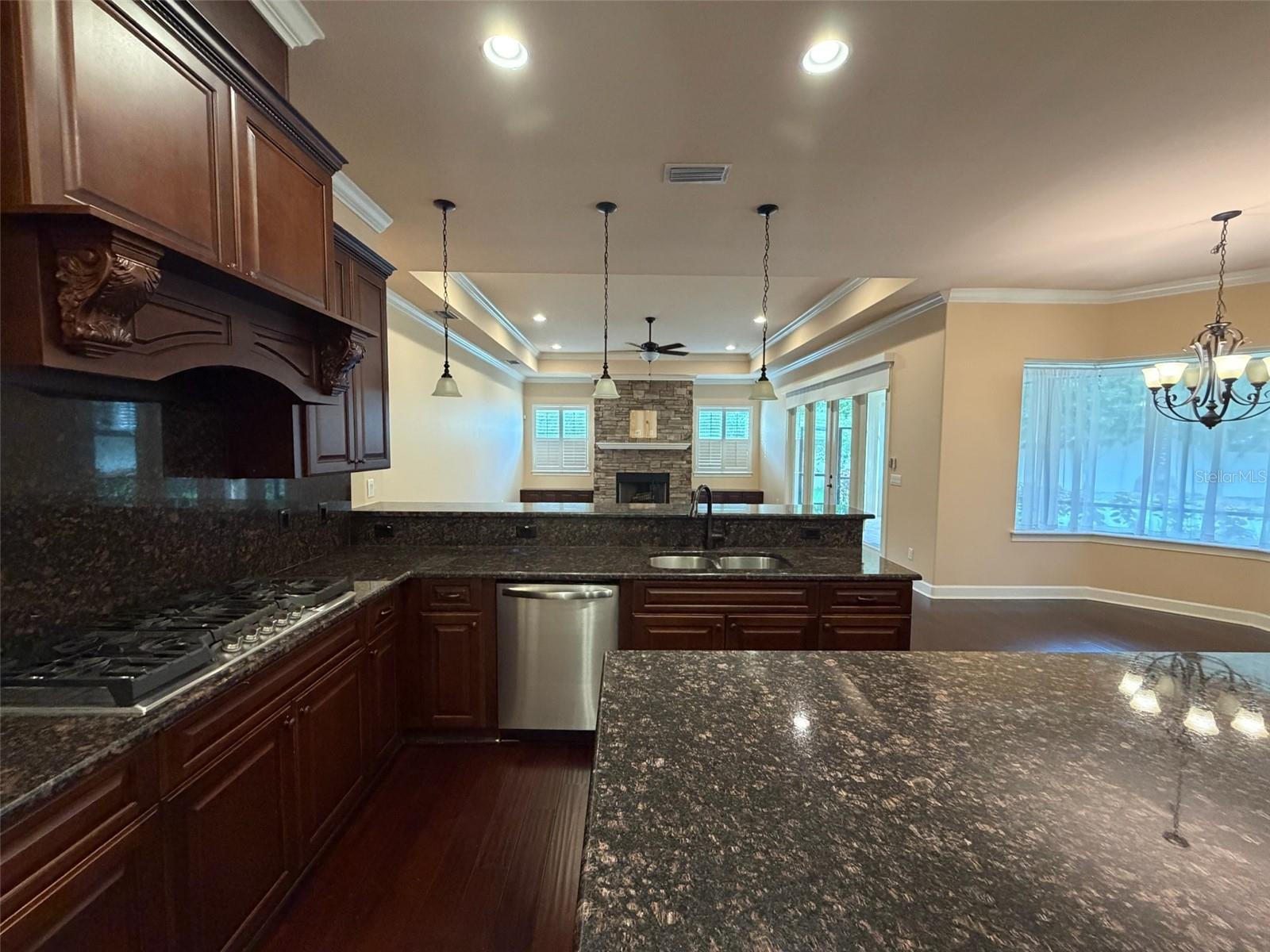 9650 MILANO DR — photo 56