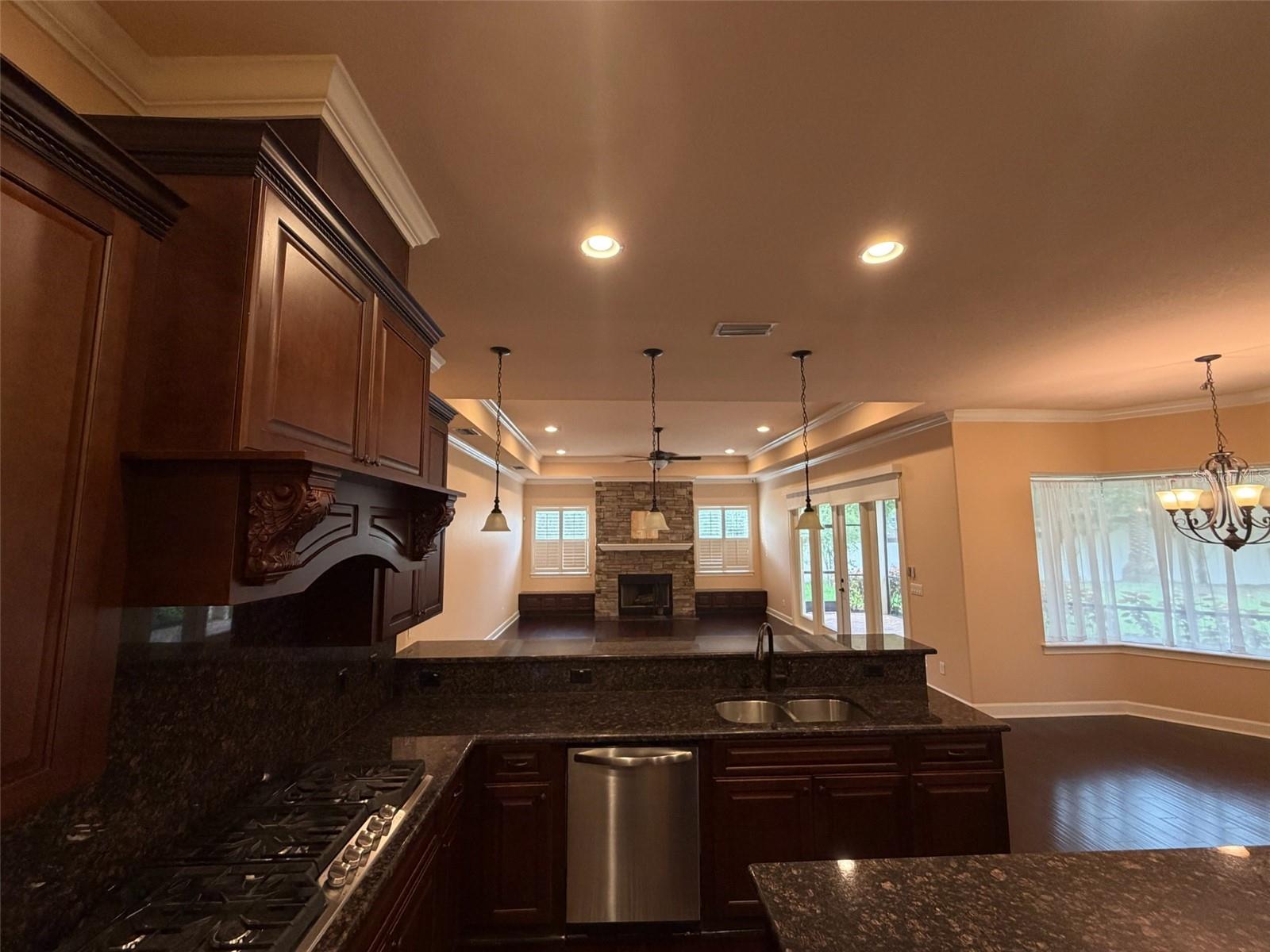 9650 MILANO DR — photo 59