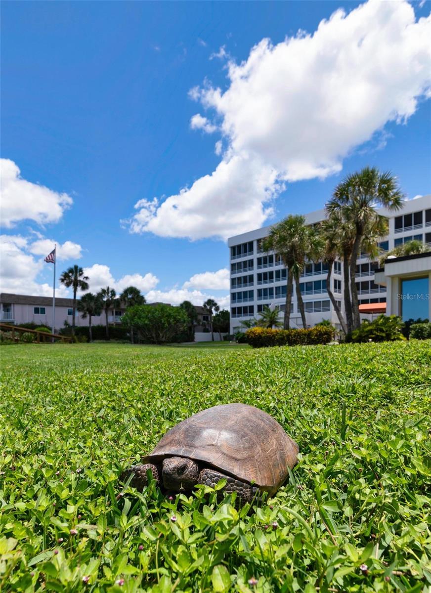 550 W FLAMINGO DR #2 — photo 37