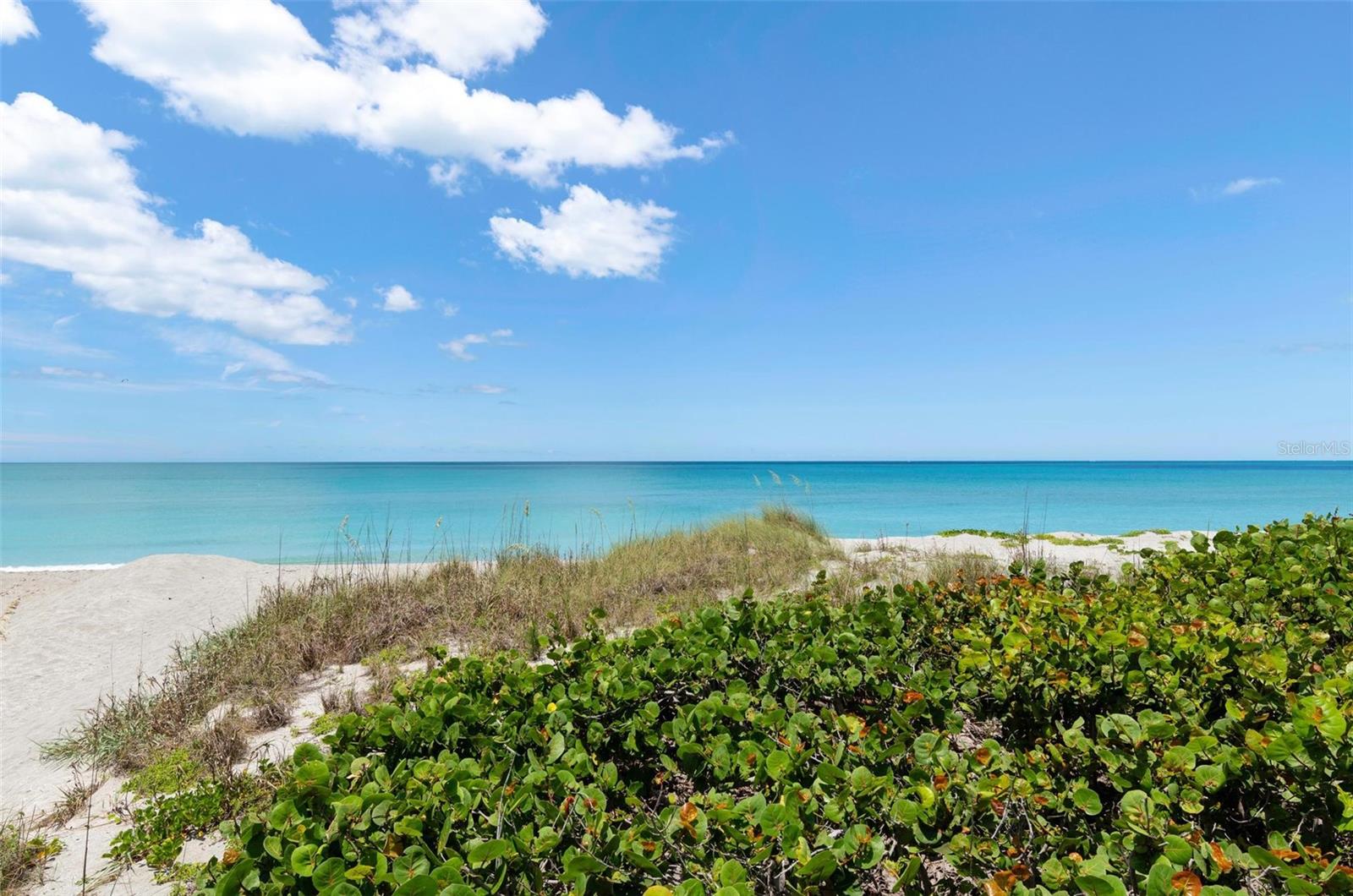 550 W FLAMINGO DR #2 — photo 36