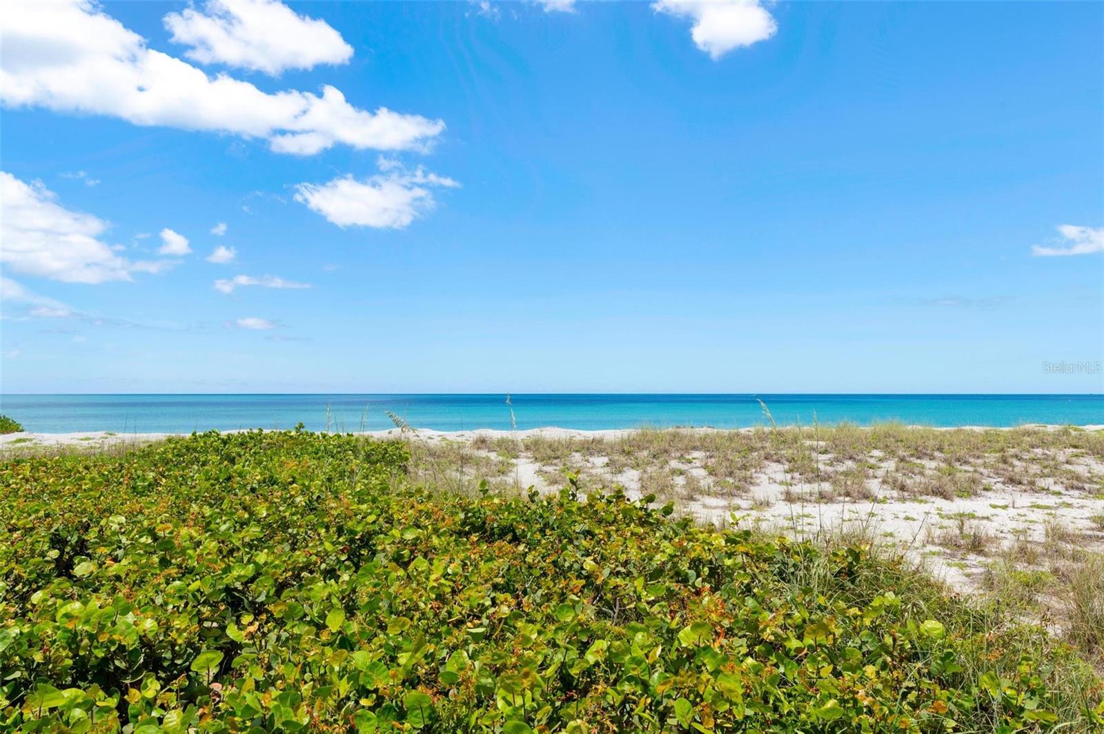 550 W FLAMINGO DR #2 — photo 40