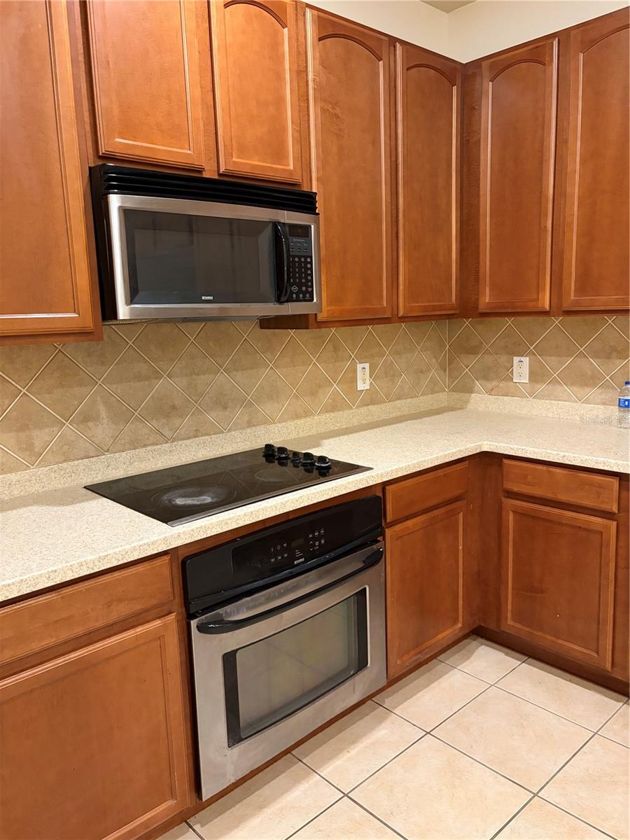 20311 CHESTNUT GROVE DR — photo 10