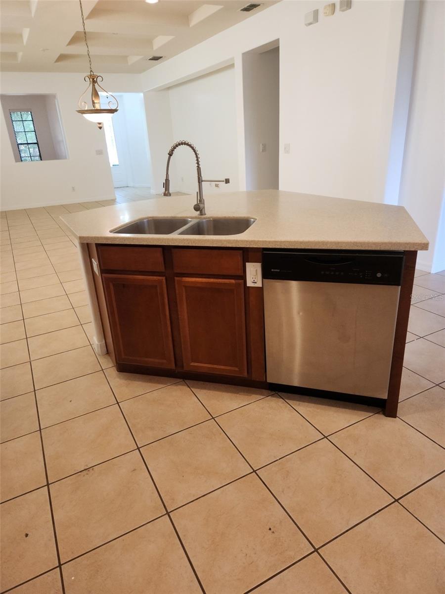 20311 CHESTNUT GROVE DR — photo 12