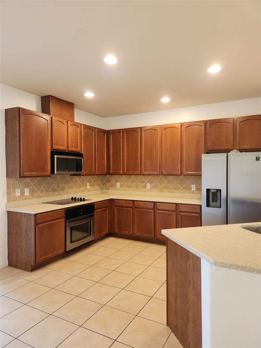 20311 CHESTNUT GROVE DR — photo 7