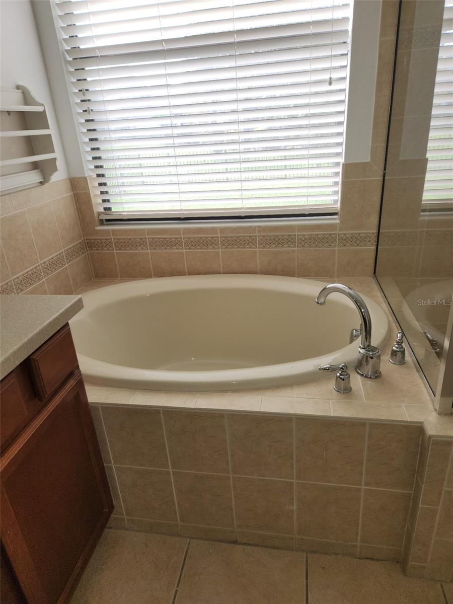 20311 CHESTNUT GROVE DR — photo 22