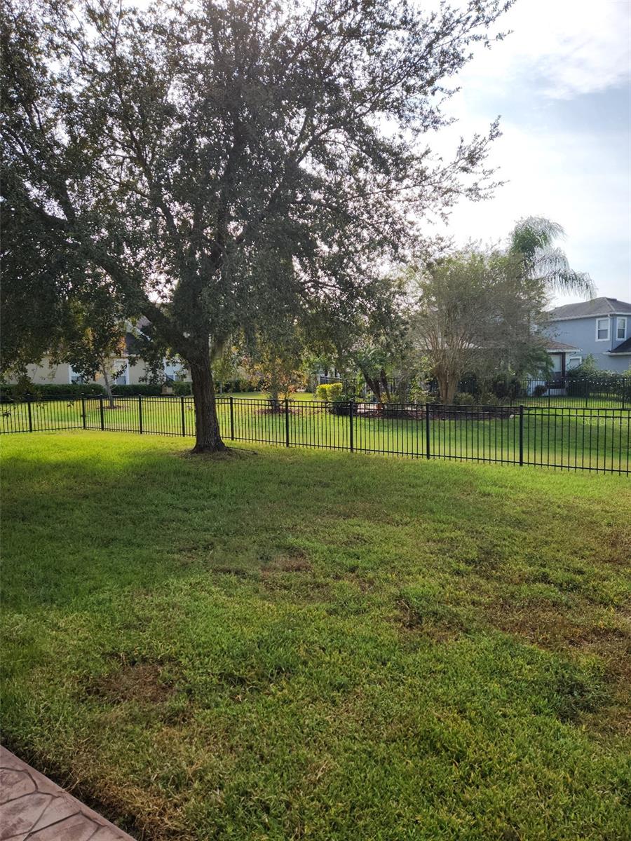 20311 CHESTNUT GROVE DR — photo 29
