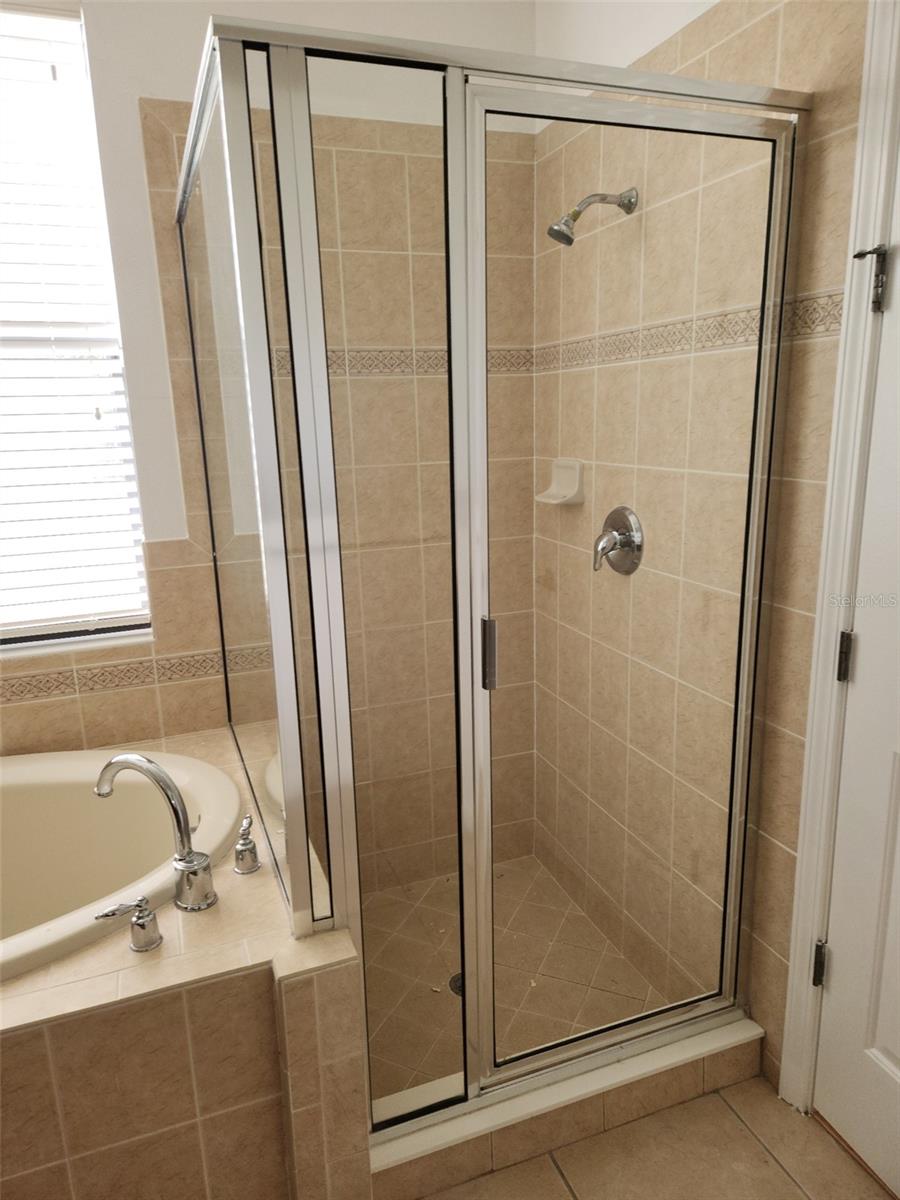 20311 CHESTNUT GROVE DR — photo 21