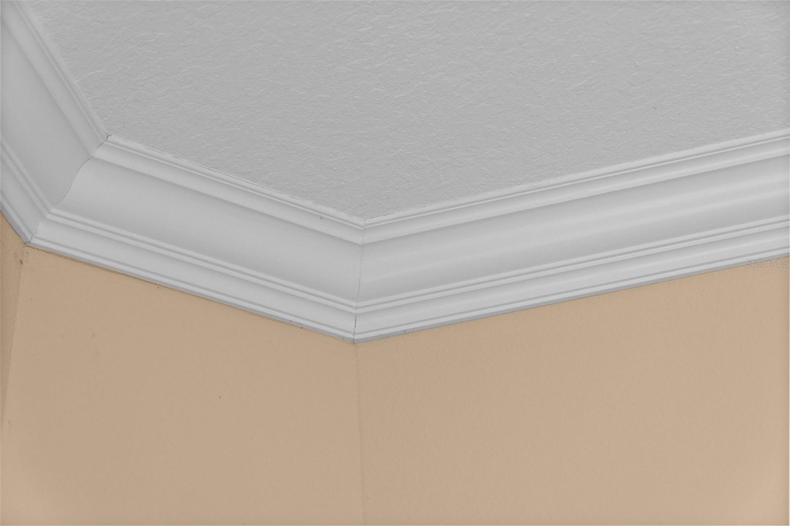 8432 MIRAMAR WAY — photo 15