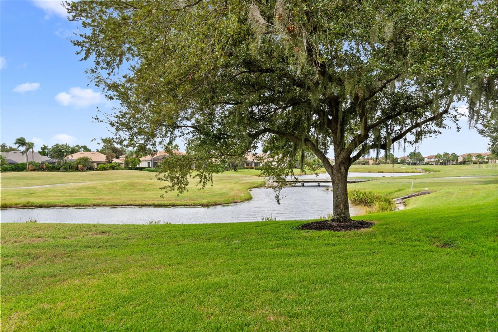 8432 MIRAMAR WAY — photo 66