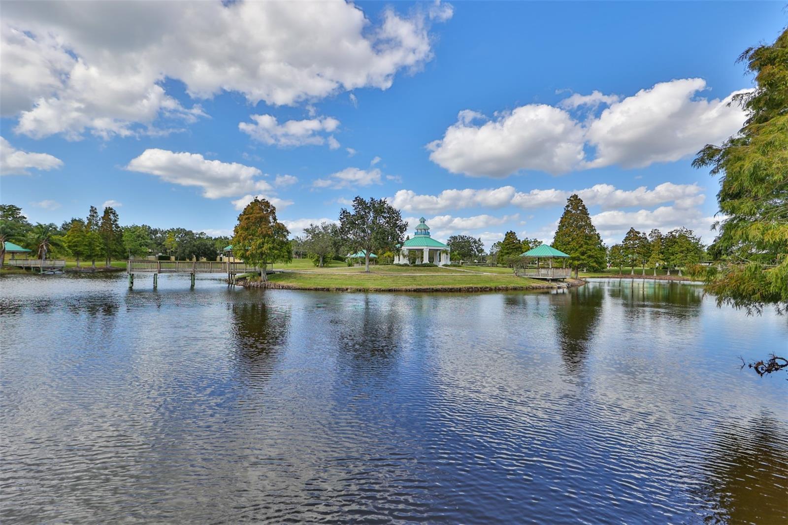 5213 BUTTERFLY SHELL DR — photo 45