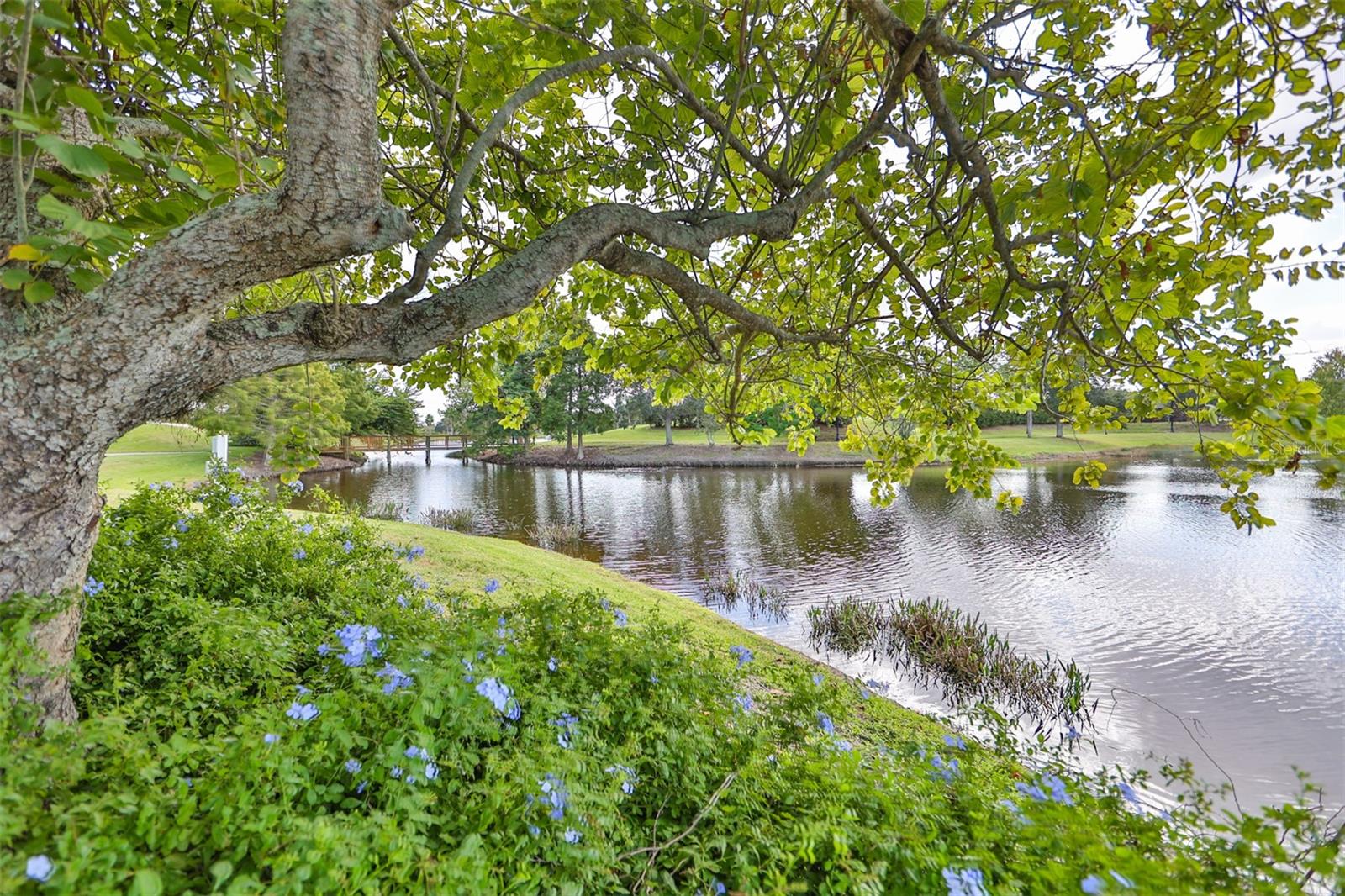 5213 BUTTERFLY SHELL DR — photo 55