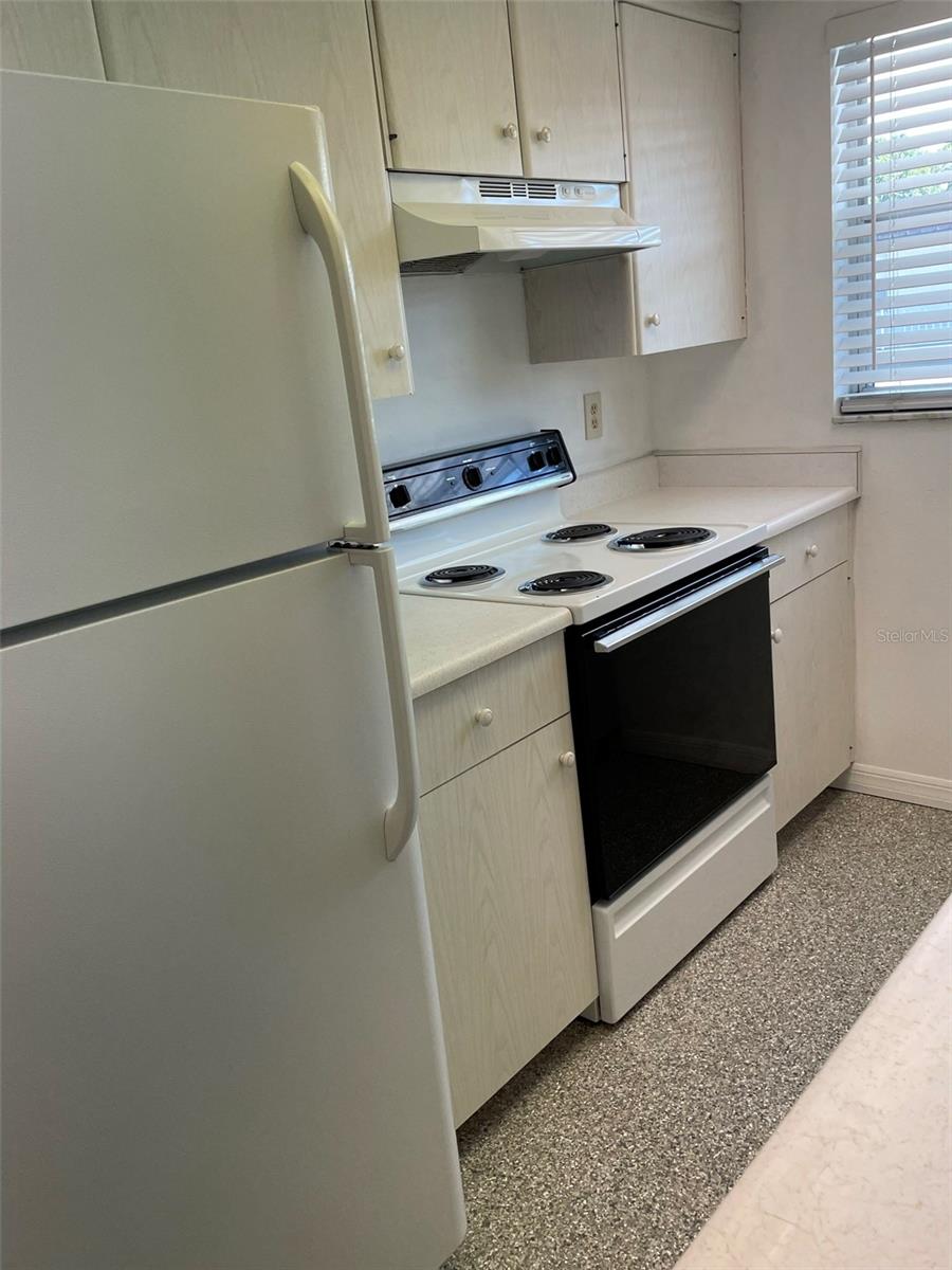 2955 BENEVA RD #203 — photo 13