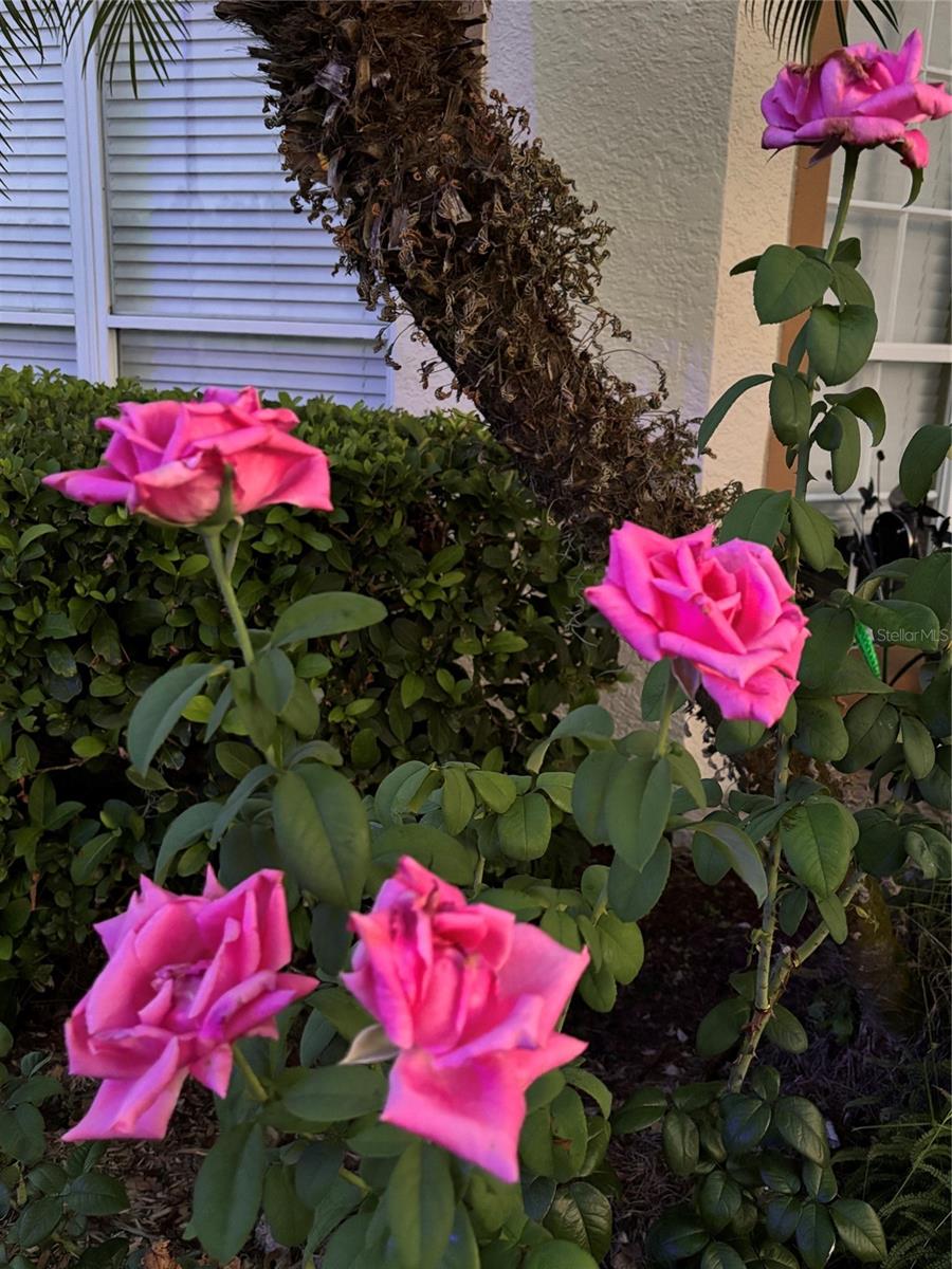 30702 IVERSON DR — photo 25