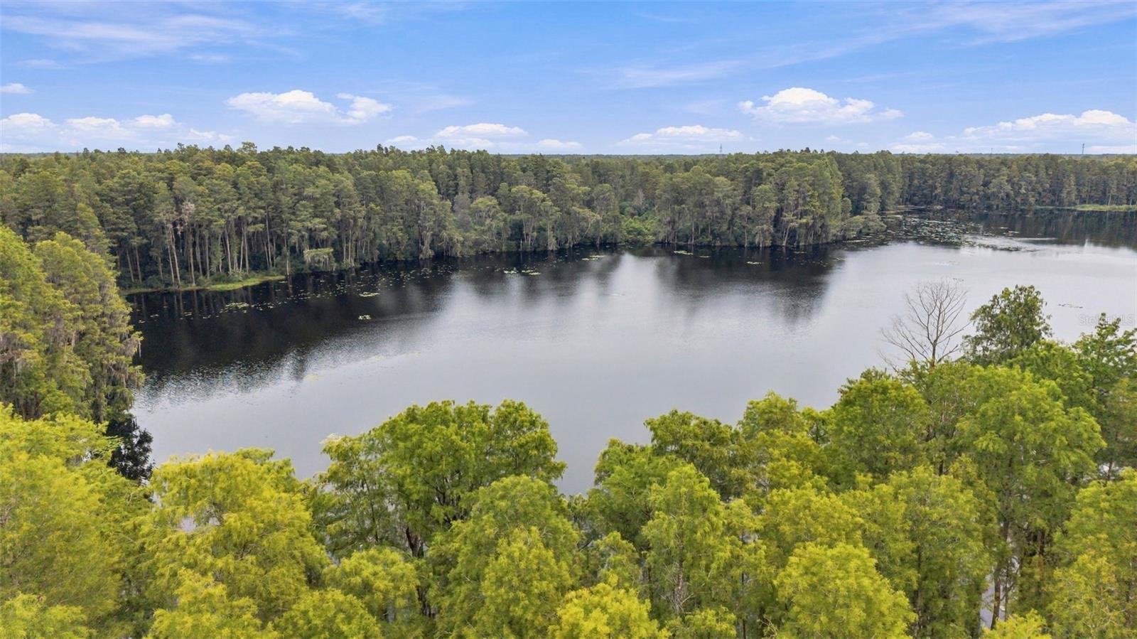 18114 SERENE LAKE LOOP — photo 29