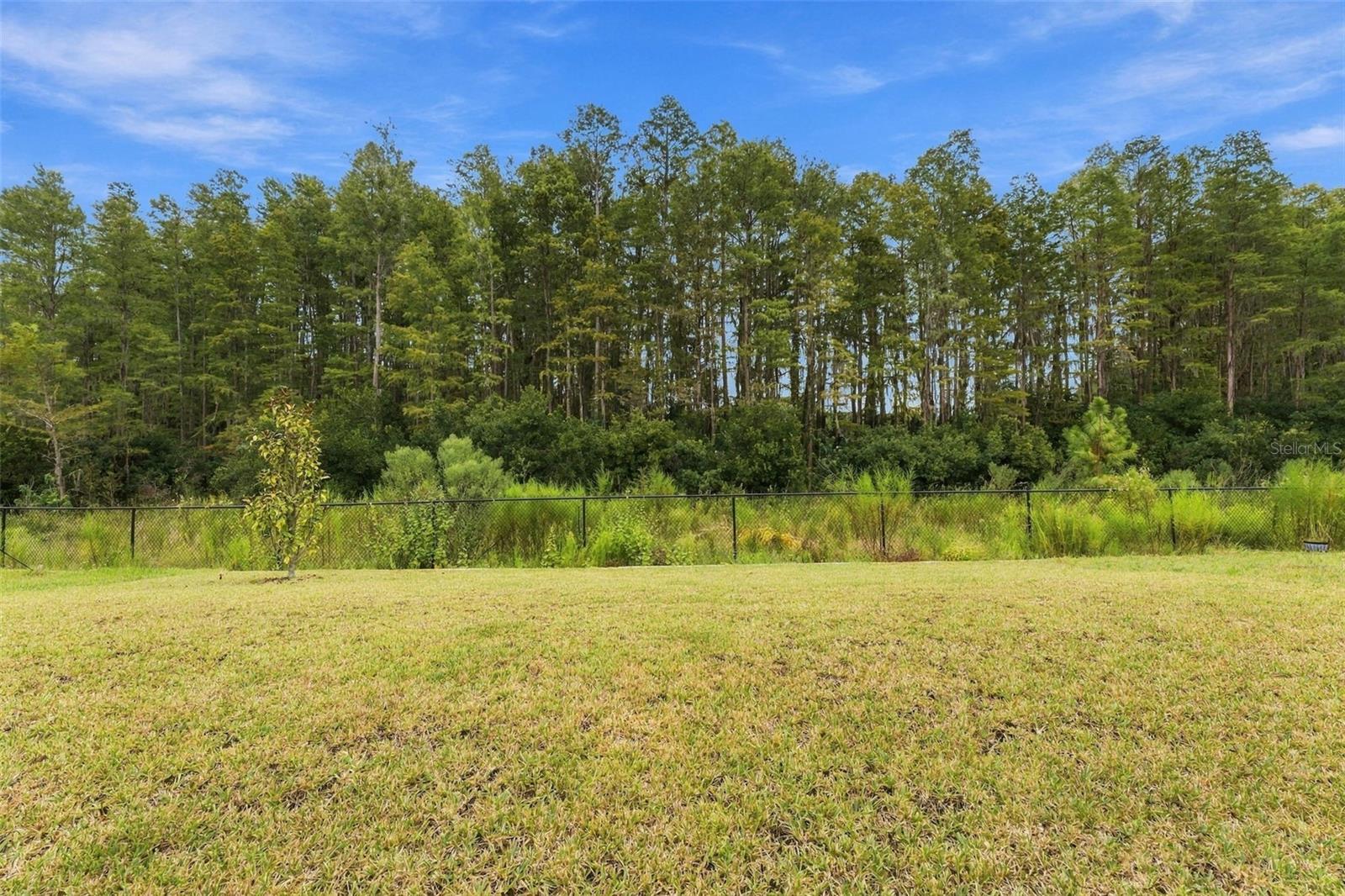18114 SERENE LAKE LOOP — photo 23