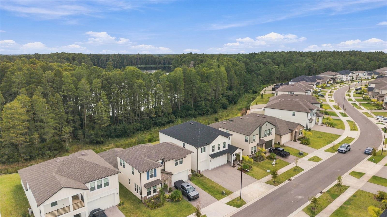 18114 SERENE LAKE LOOP — photo 24