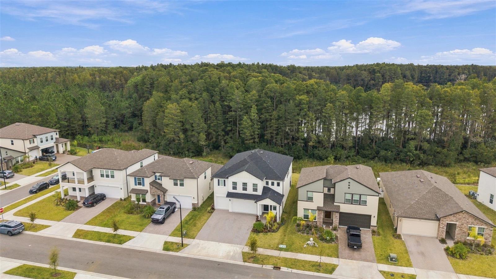 18114 SERENE LAKE LOOP — photo 25