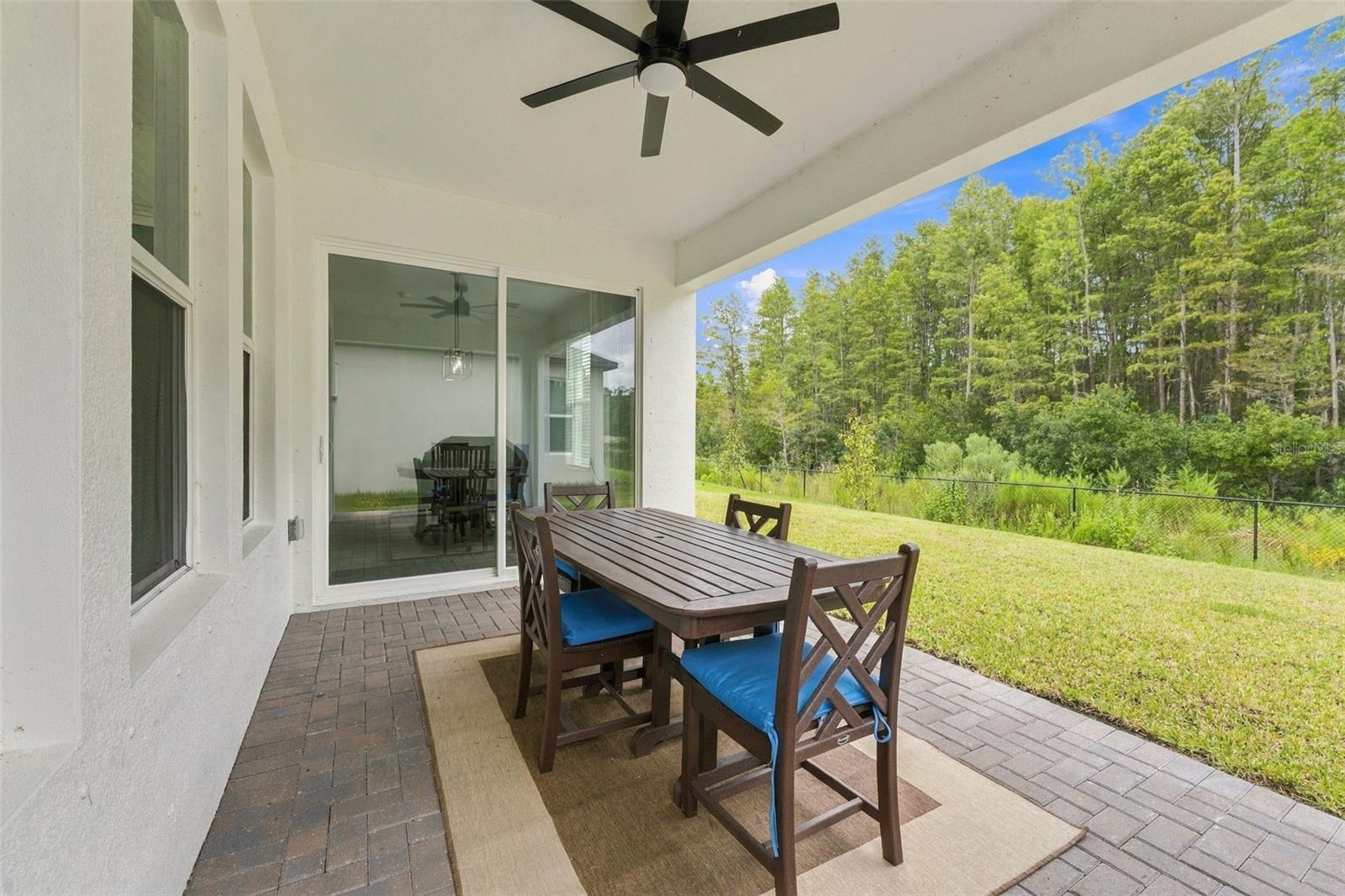 18114 SERENE LAKE LOOP — photo 21